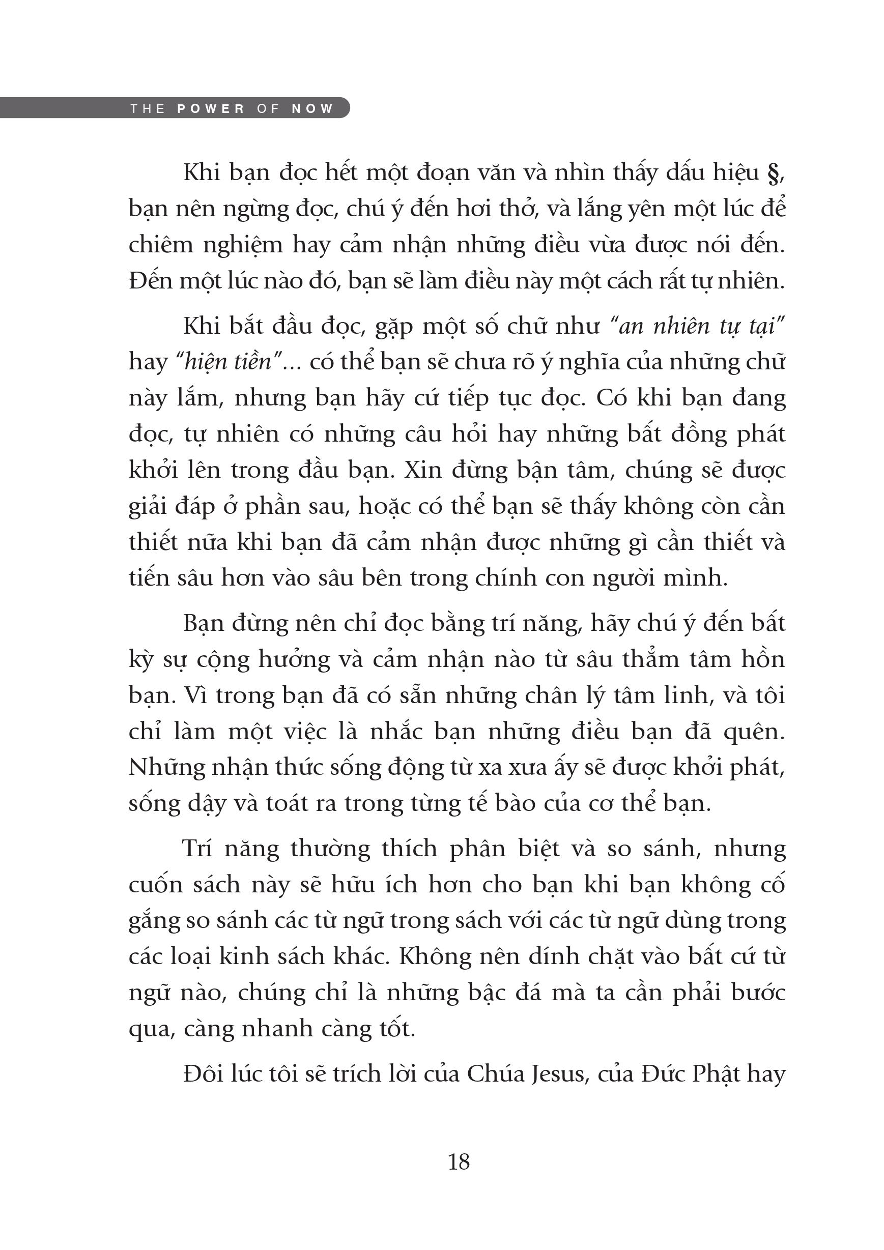 sức mạnh của hiện tại (tái bản 2021) - Ảnh 8