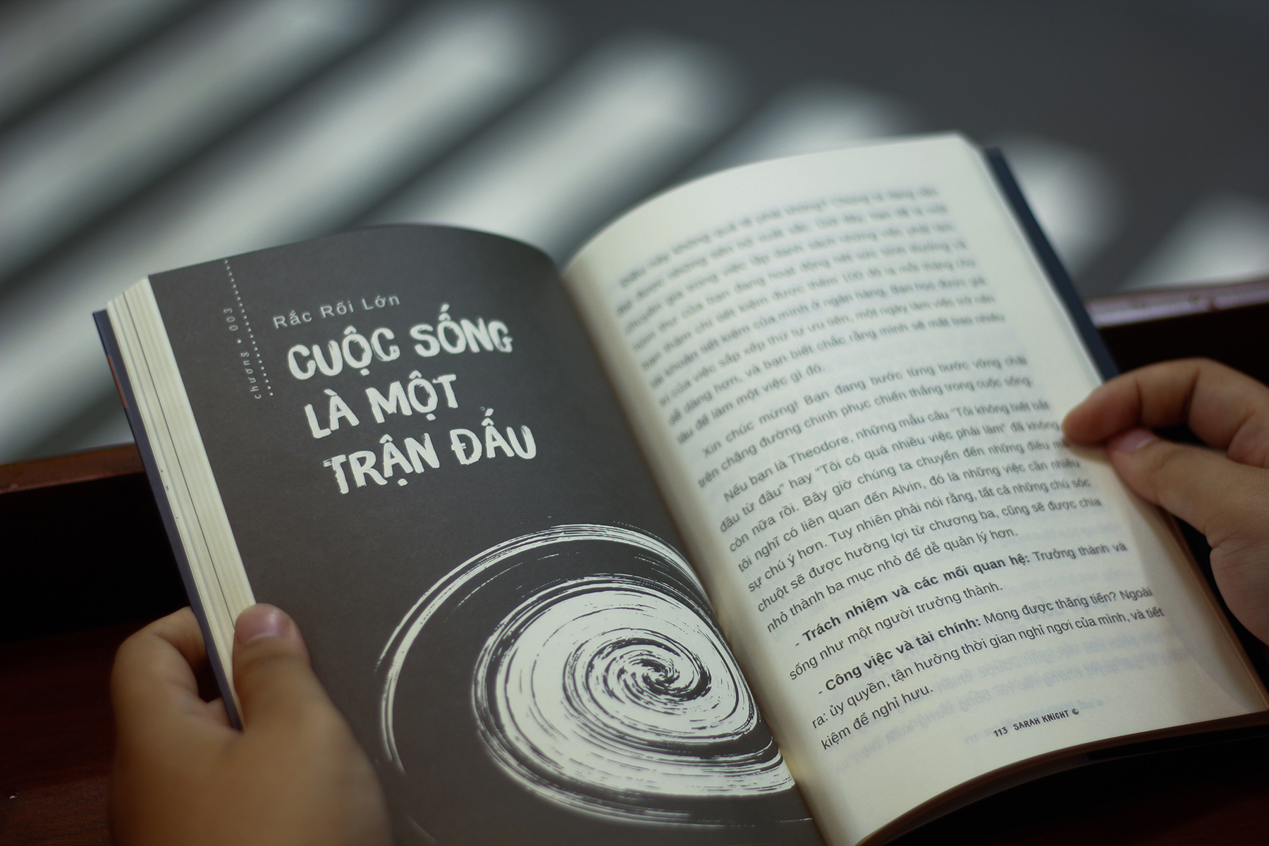 sức mạnh của sự tiêu cực - Ảnh 6