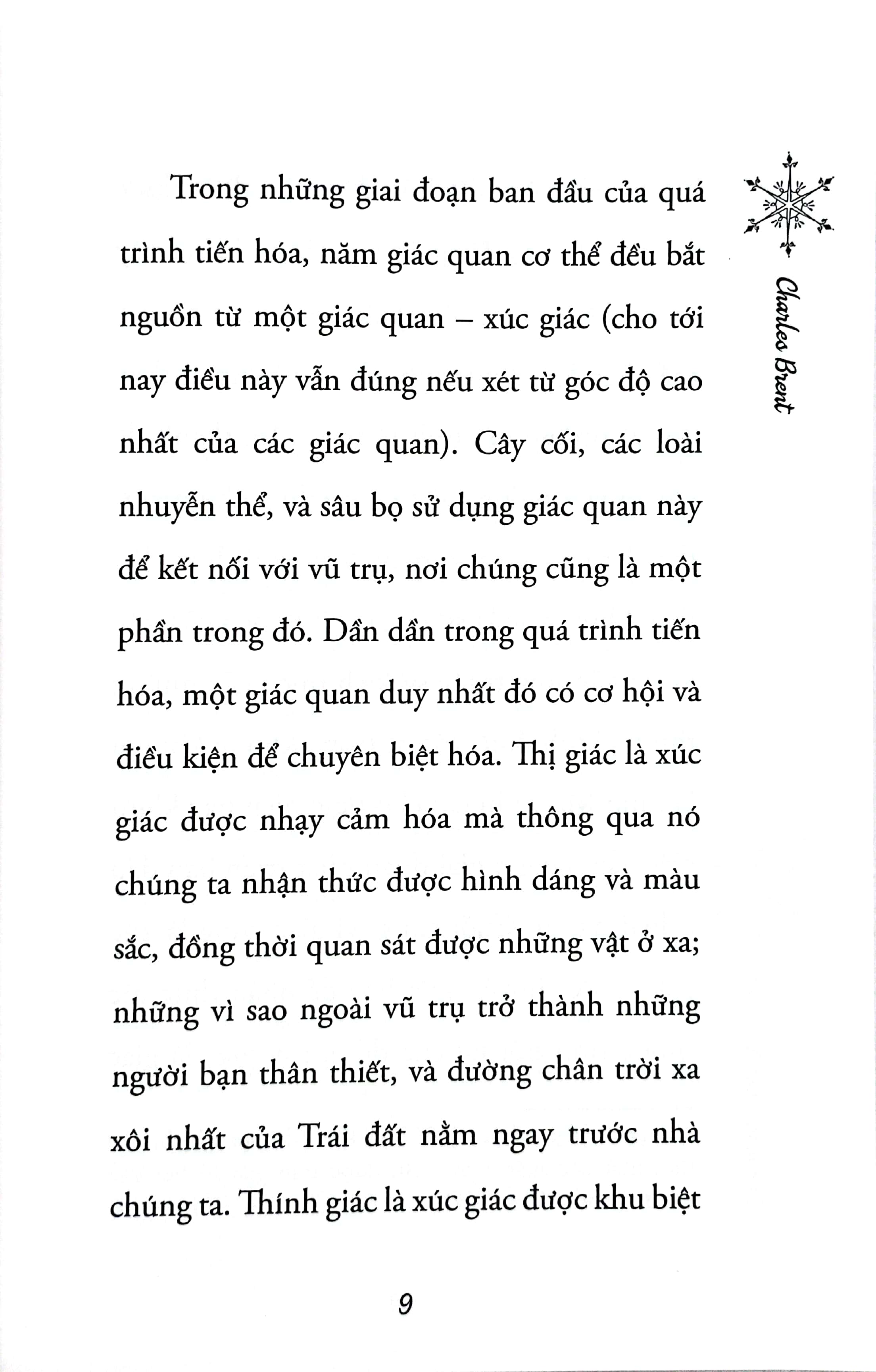 sức mạnh của trực giác - Ảnh 5