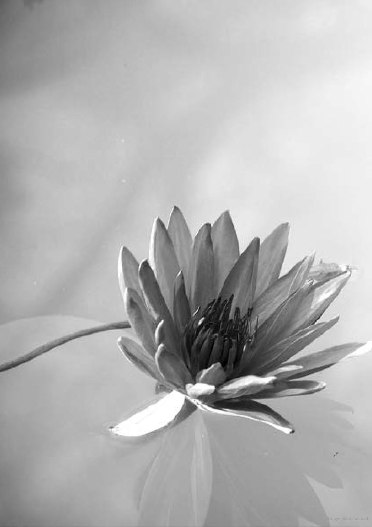 sức mạnh lòng kiên nhẫn (tái bản) - Ảnh 5