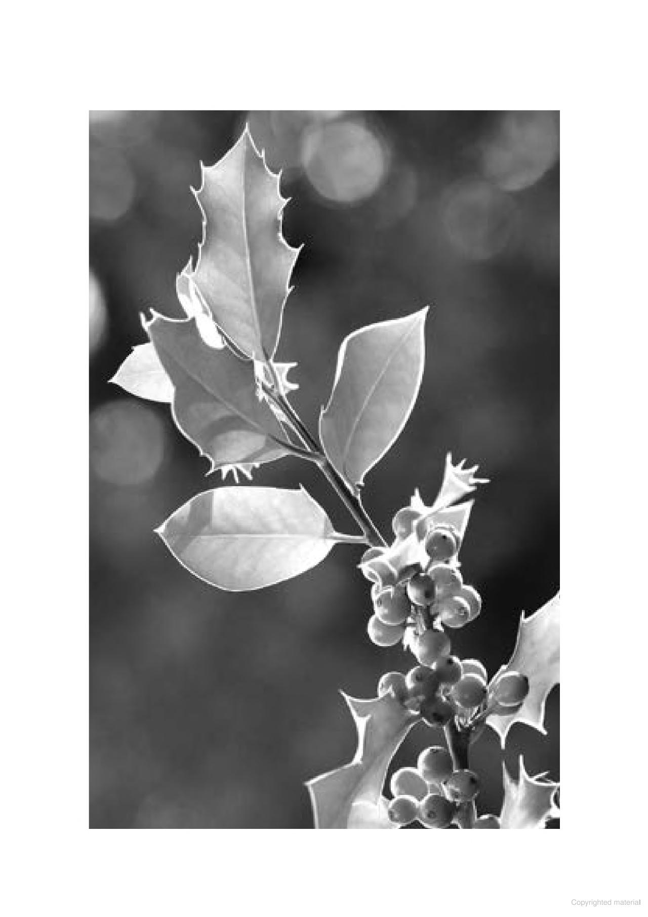 sức mạnh lòng kiên nhẫn (tái bản) - Ảnh 7