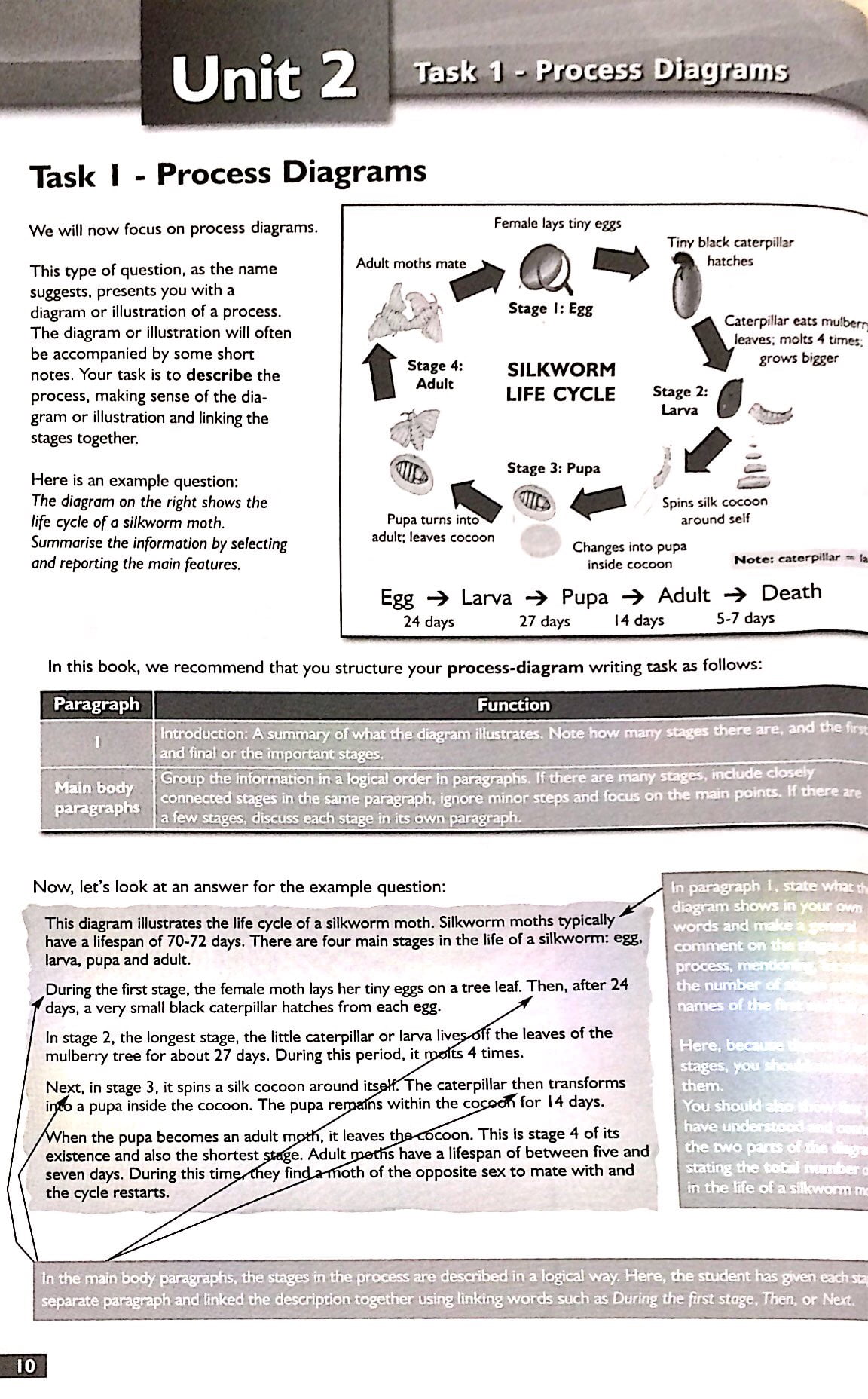 succeed in ielts writing - Ảnh 8