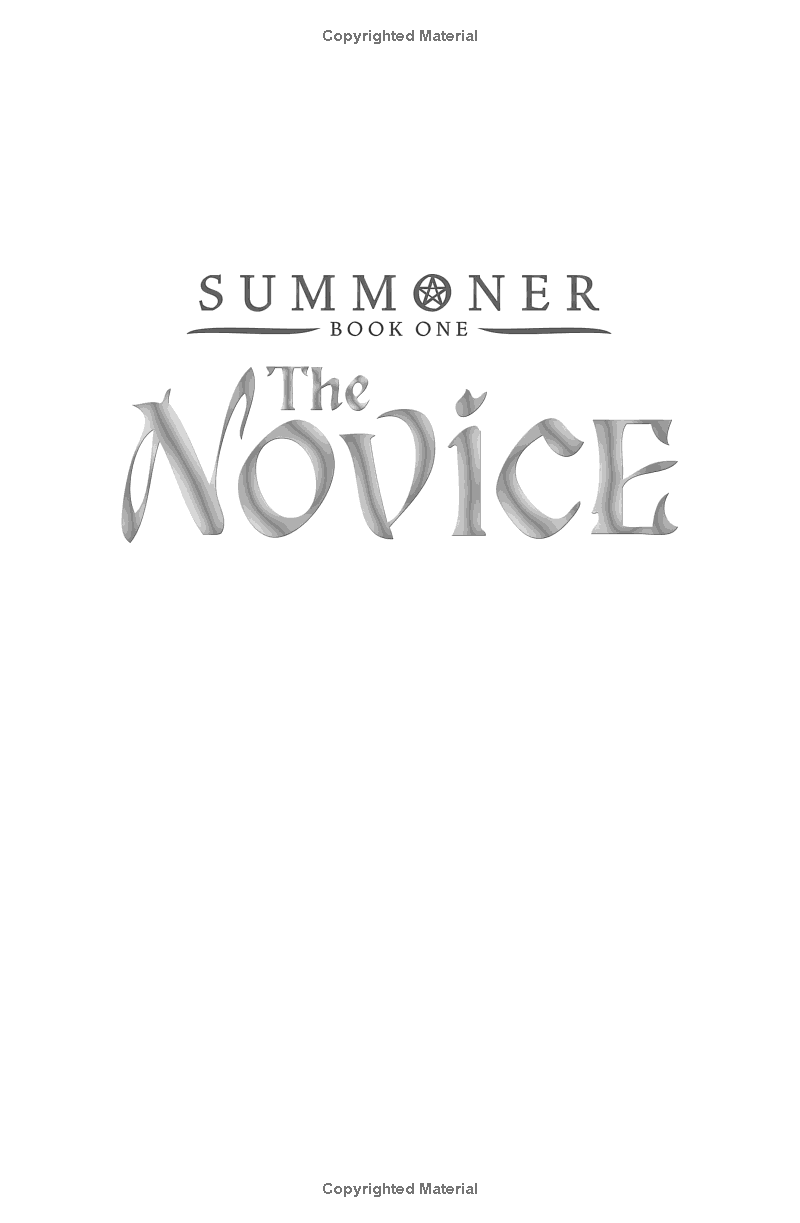 summoner 1: the novice - Ảnh 3