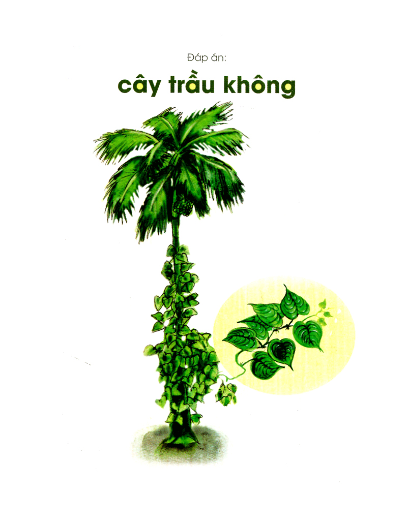 sừng sửng mà đứng giữa đường - Ảnh 7