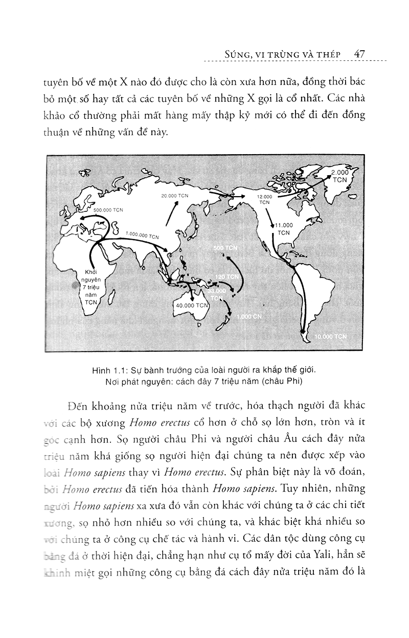 súng, vi trùng và thép (tái bản) - Ảnh 11