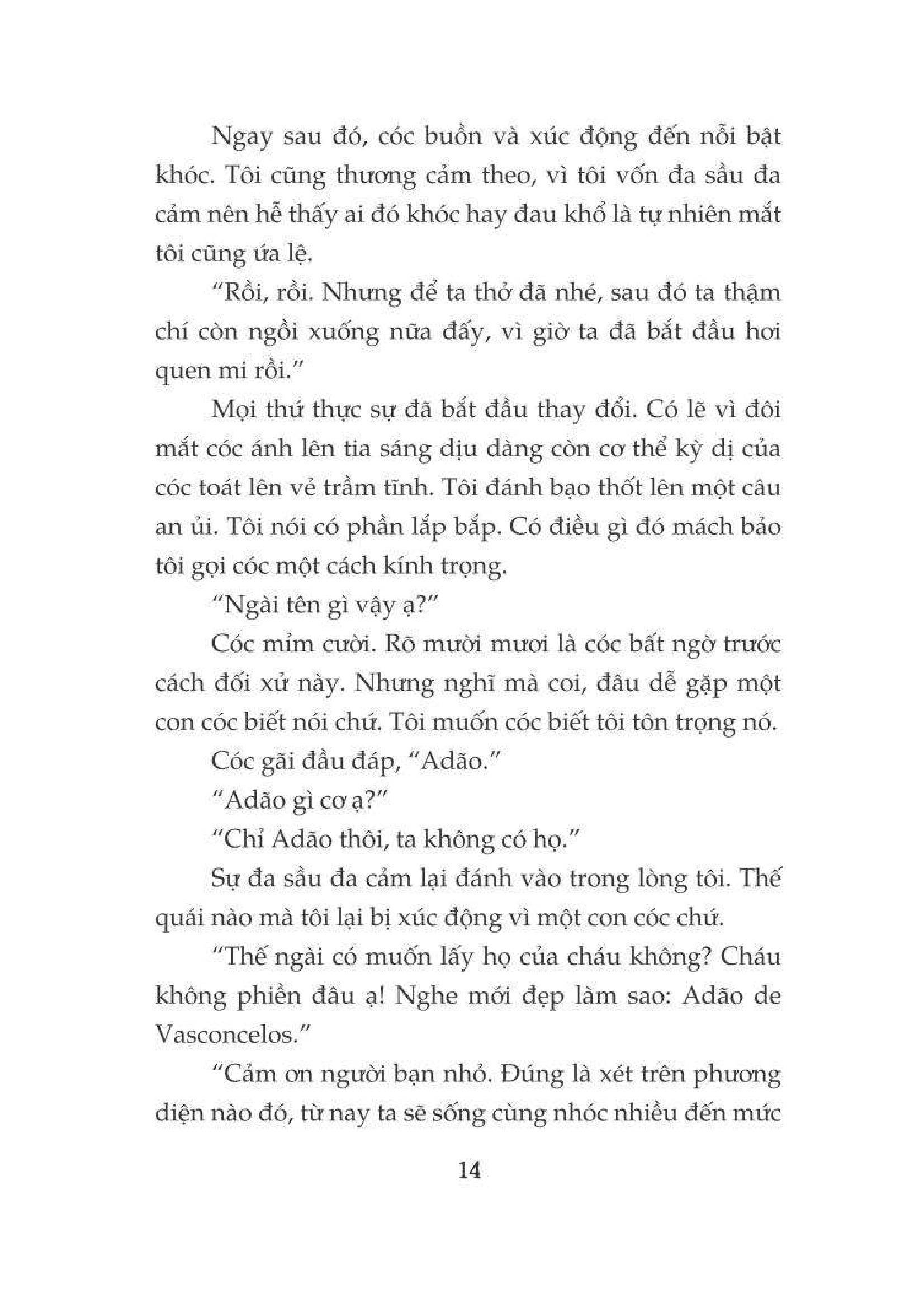 sưởi ấm mặt trời - phần tiếp theo của cây cam ngọt của tôi - Ảnh 10