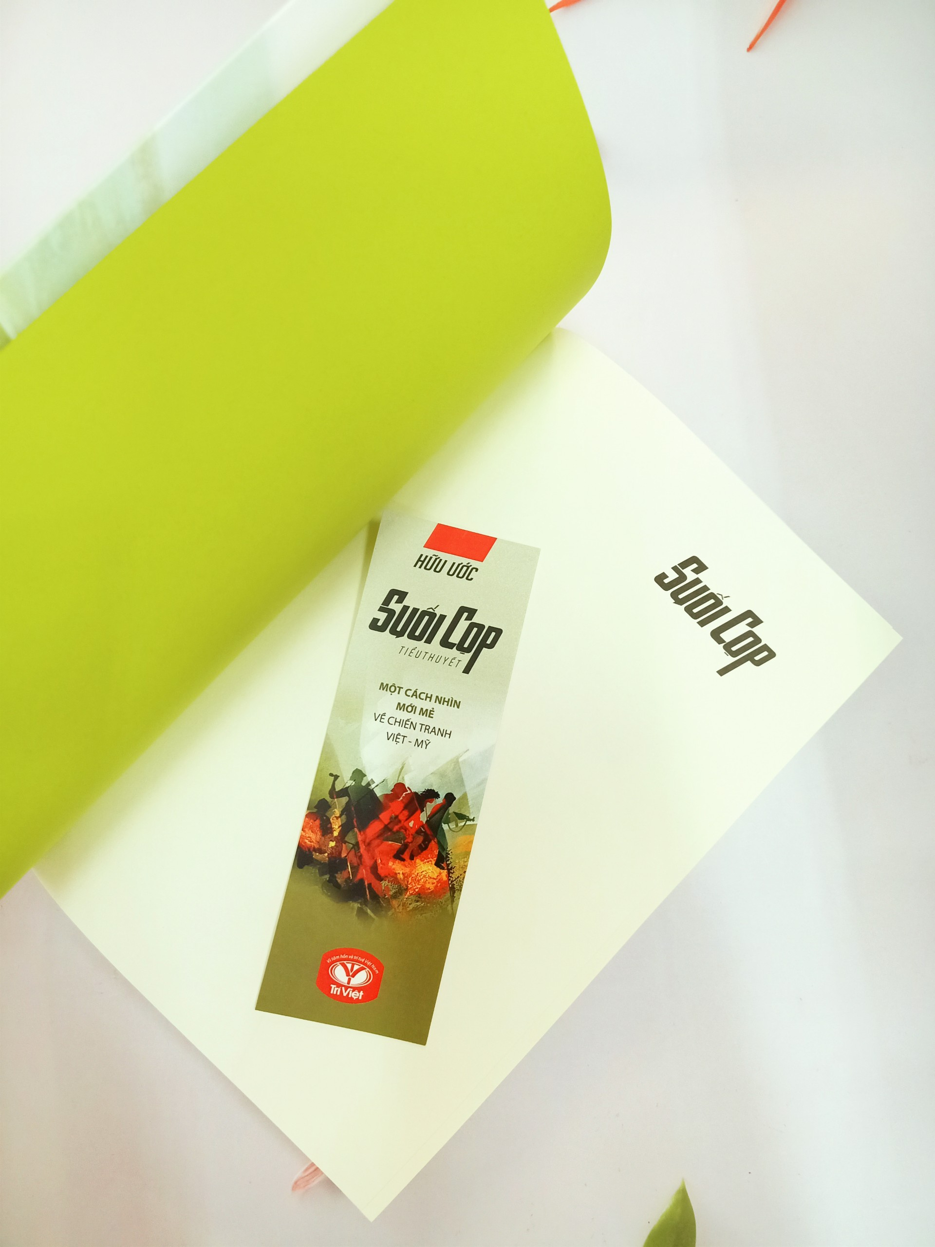 suối cọp - Ảnh 5