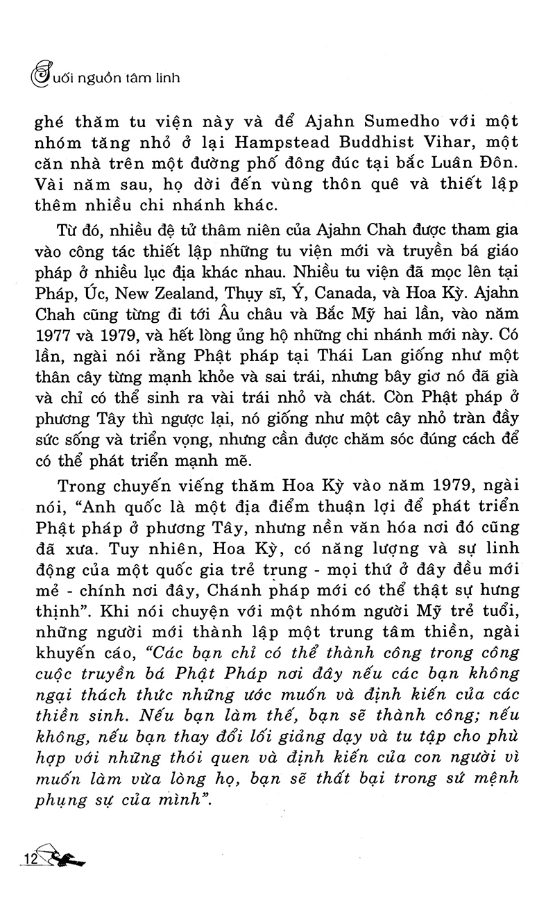 suối nguồn tâm linh - Ảnh 12