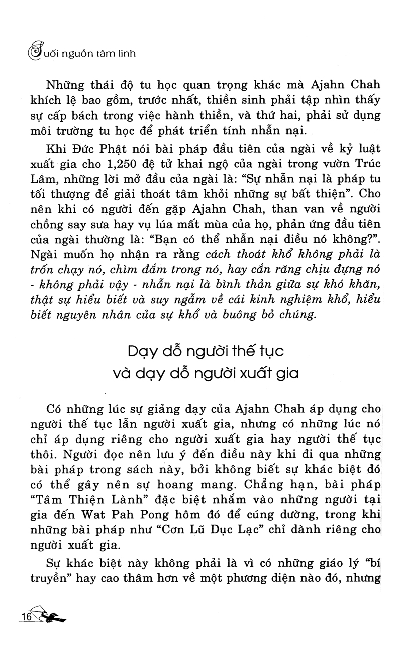 suối nguồn tâm linh - Ảnh 16