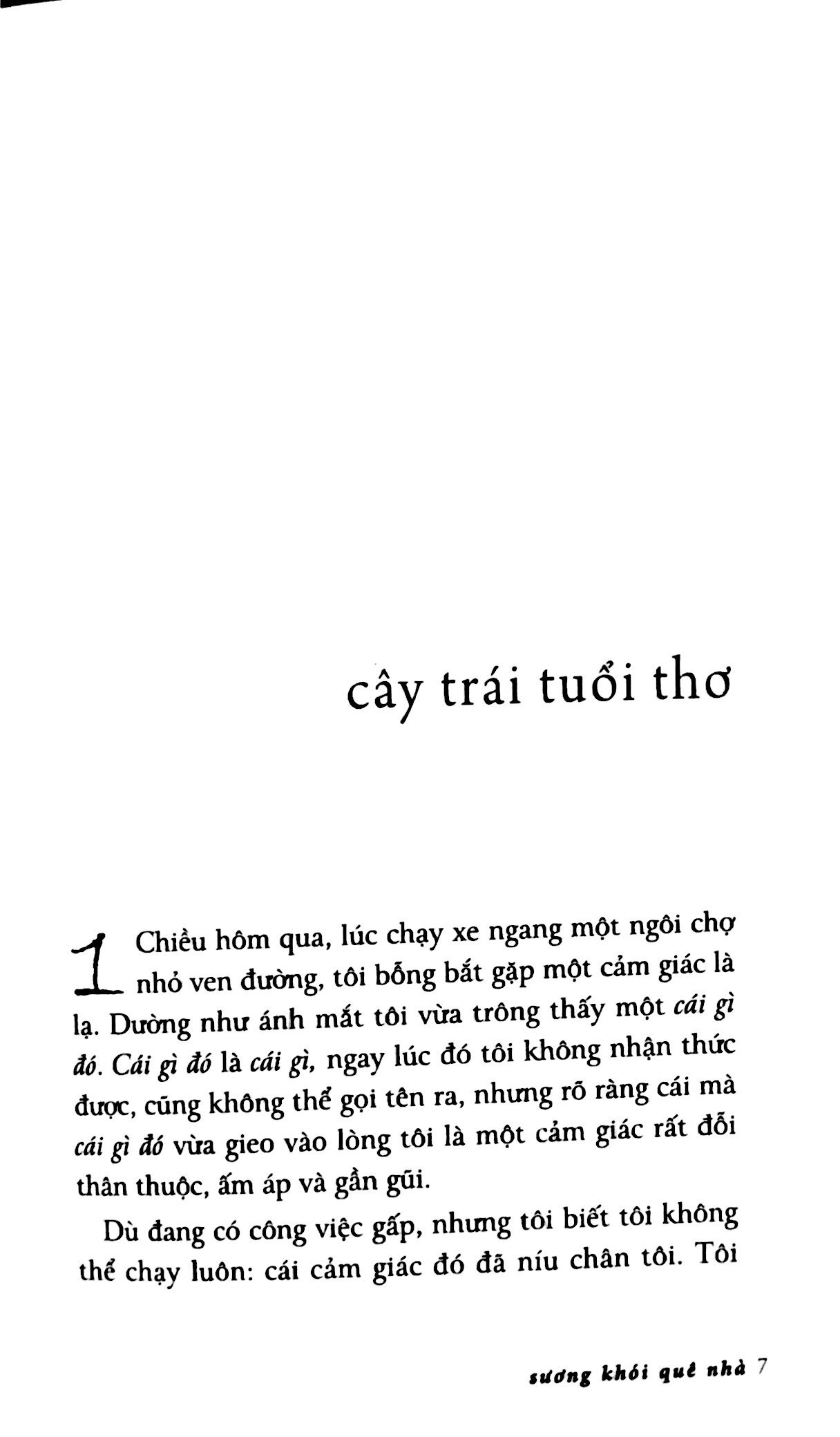 sương khói quê nhà (tái bản 2023) - Ảnh 2