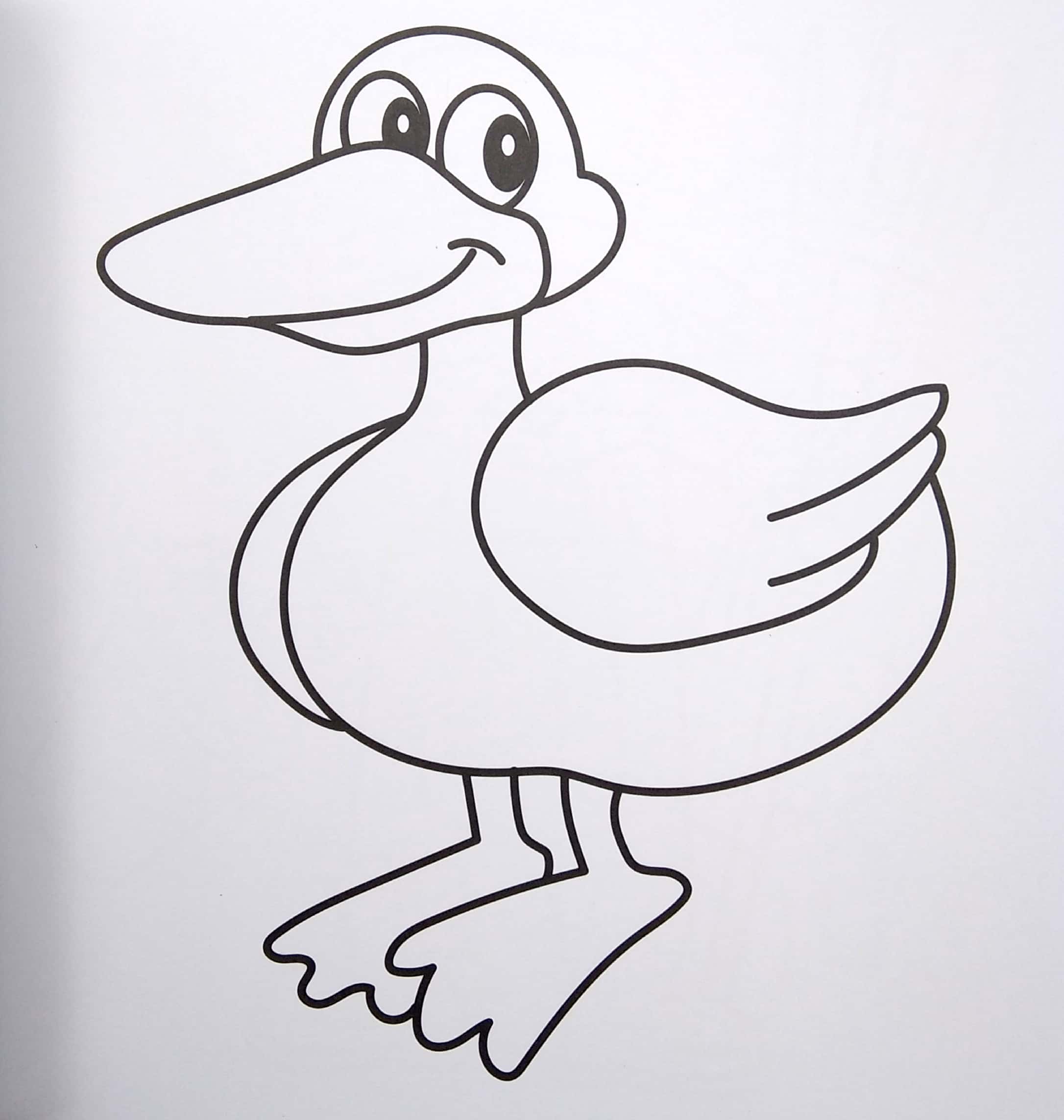 super colouring - Ảnh 3