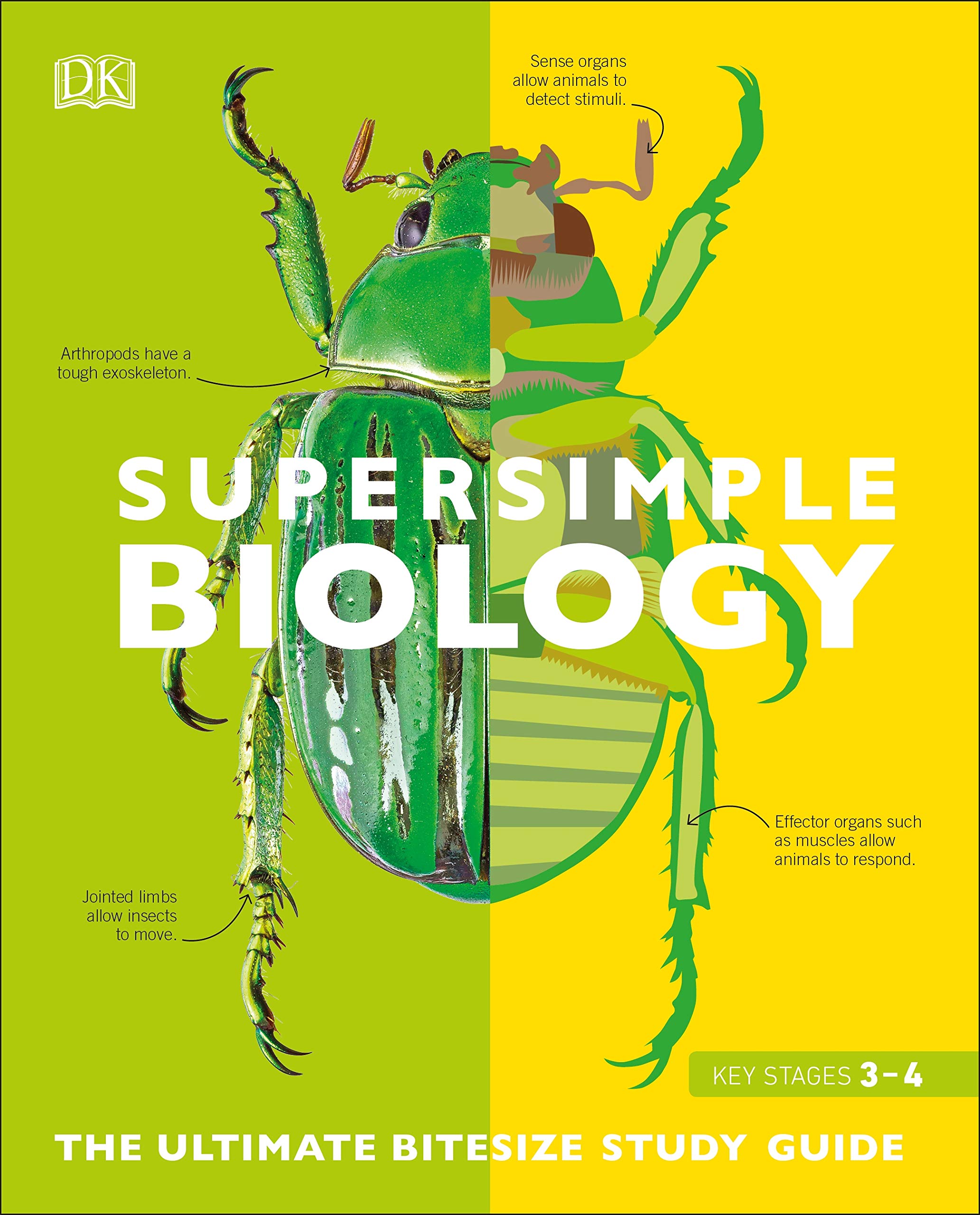 super simple biology: the ultimate bitesize study guide - Ảnh 2