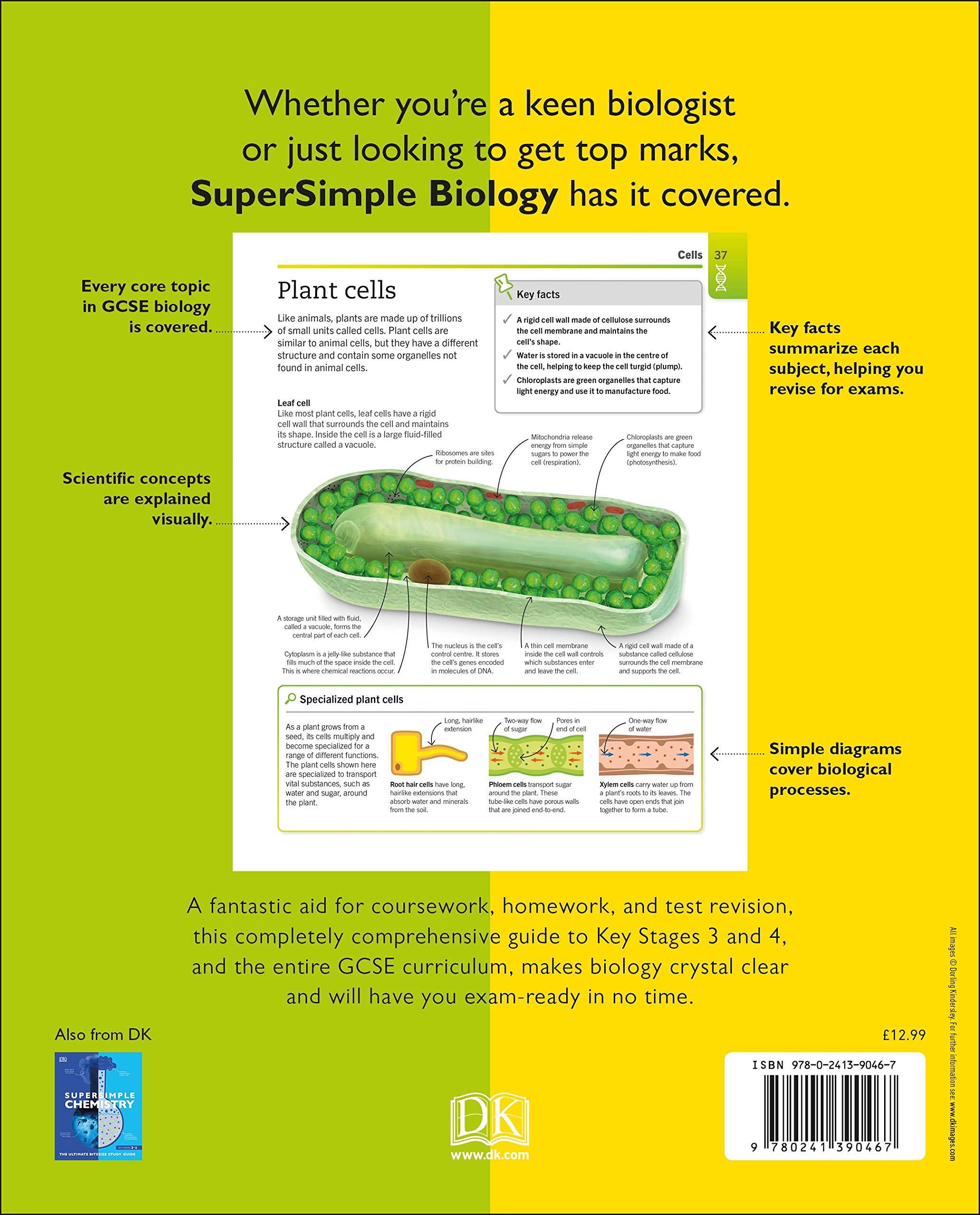 super simple biology: the ultimate bitesize study guide - Ảnh 3