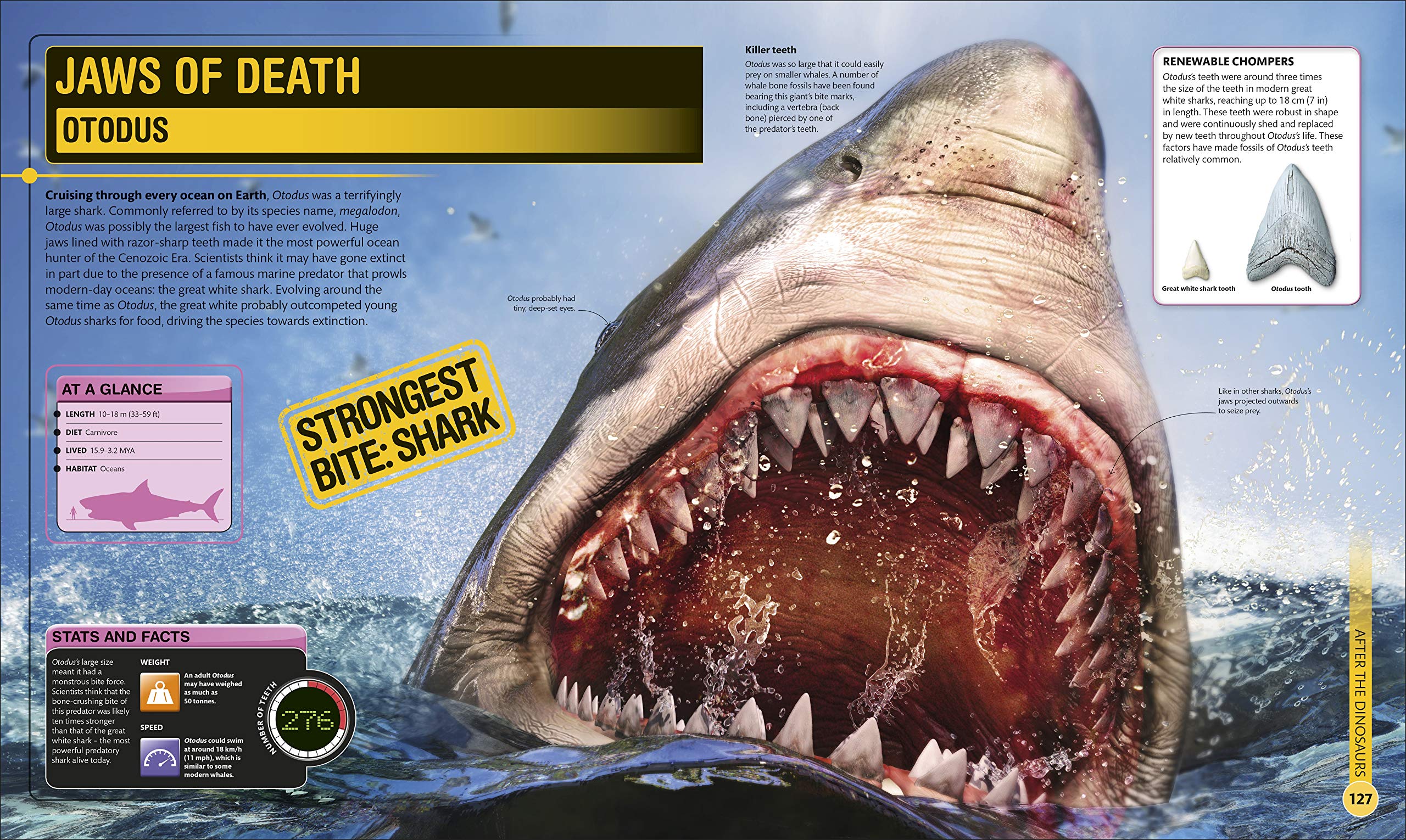 superdinosaur: the biggest, fastest, coolest prehistoric creatures - Ảnh 10