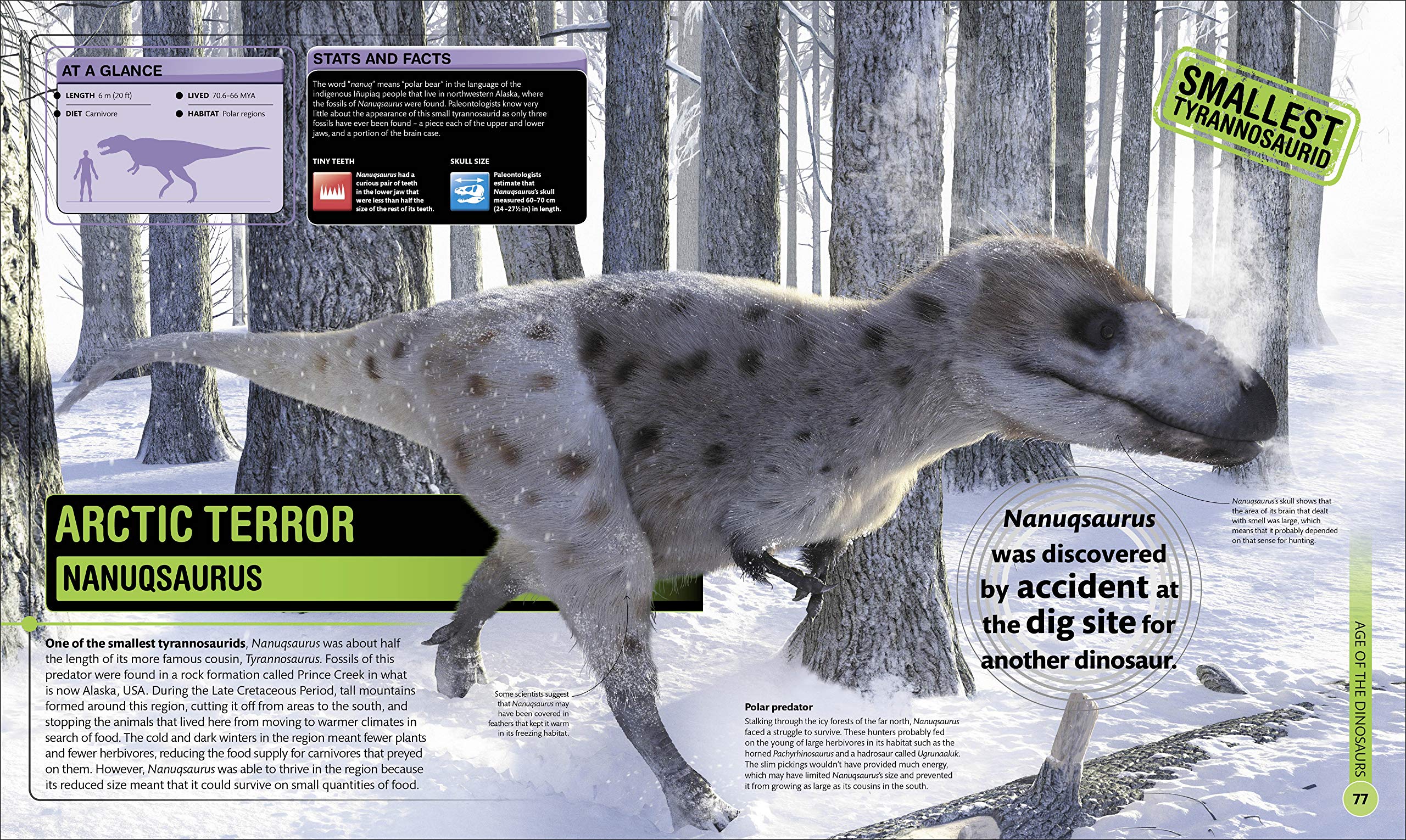 superdinosaur: the biggest, fastest, coolest prehistoric creatures - Ảnh 5