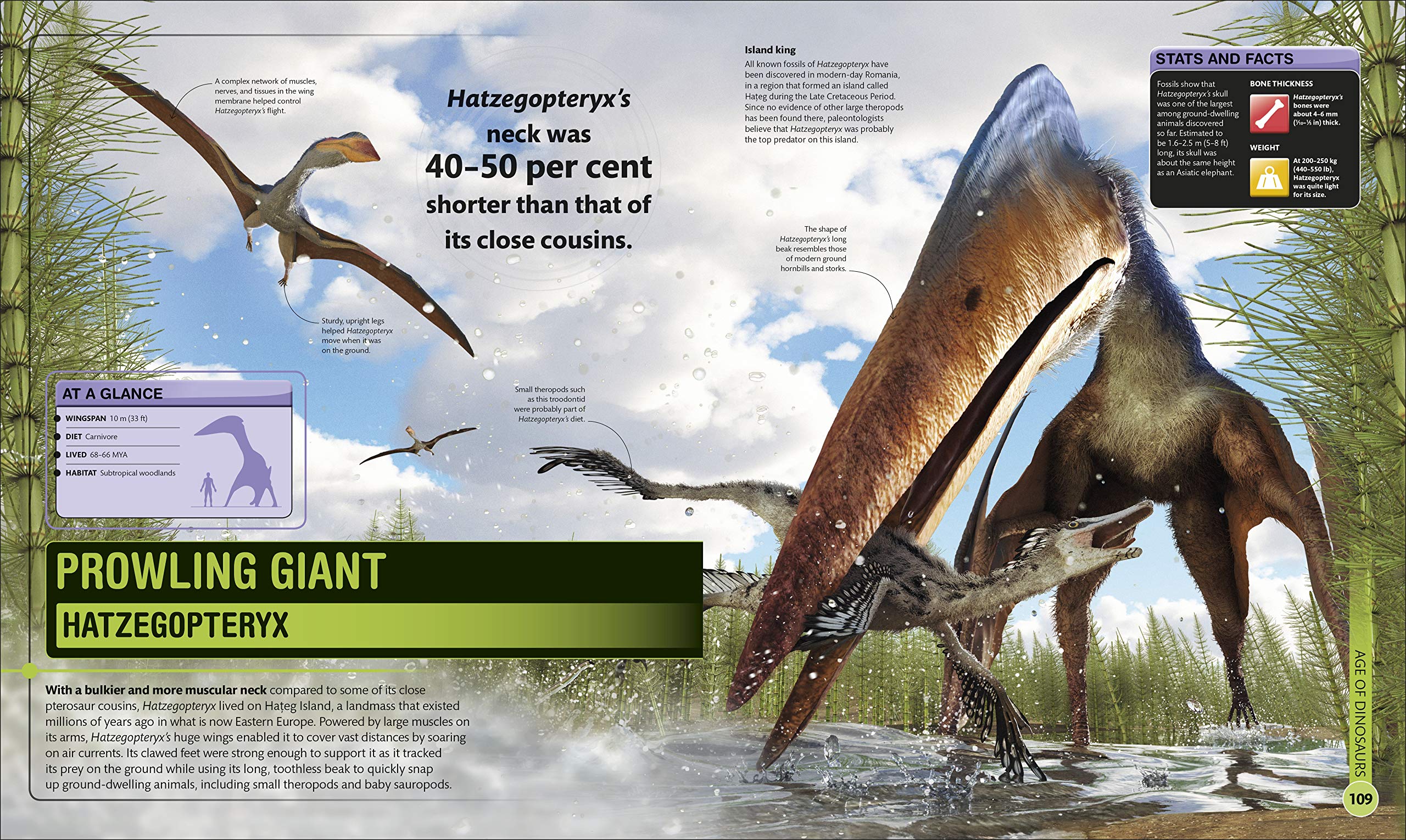 superdinosaur: the biggest, fastest, coolest prehistoric creatures - Ảnh 8