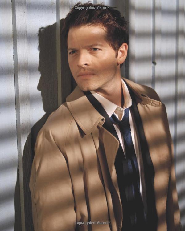 supernatural: the official cookbook: burgers, pies and other (science fiction fantasy) - Ảnh 12