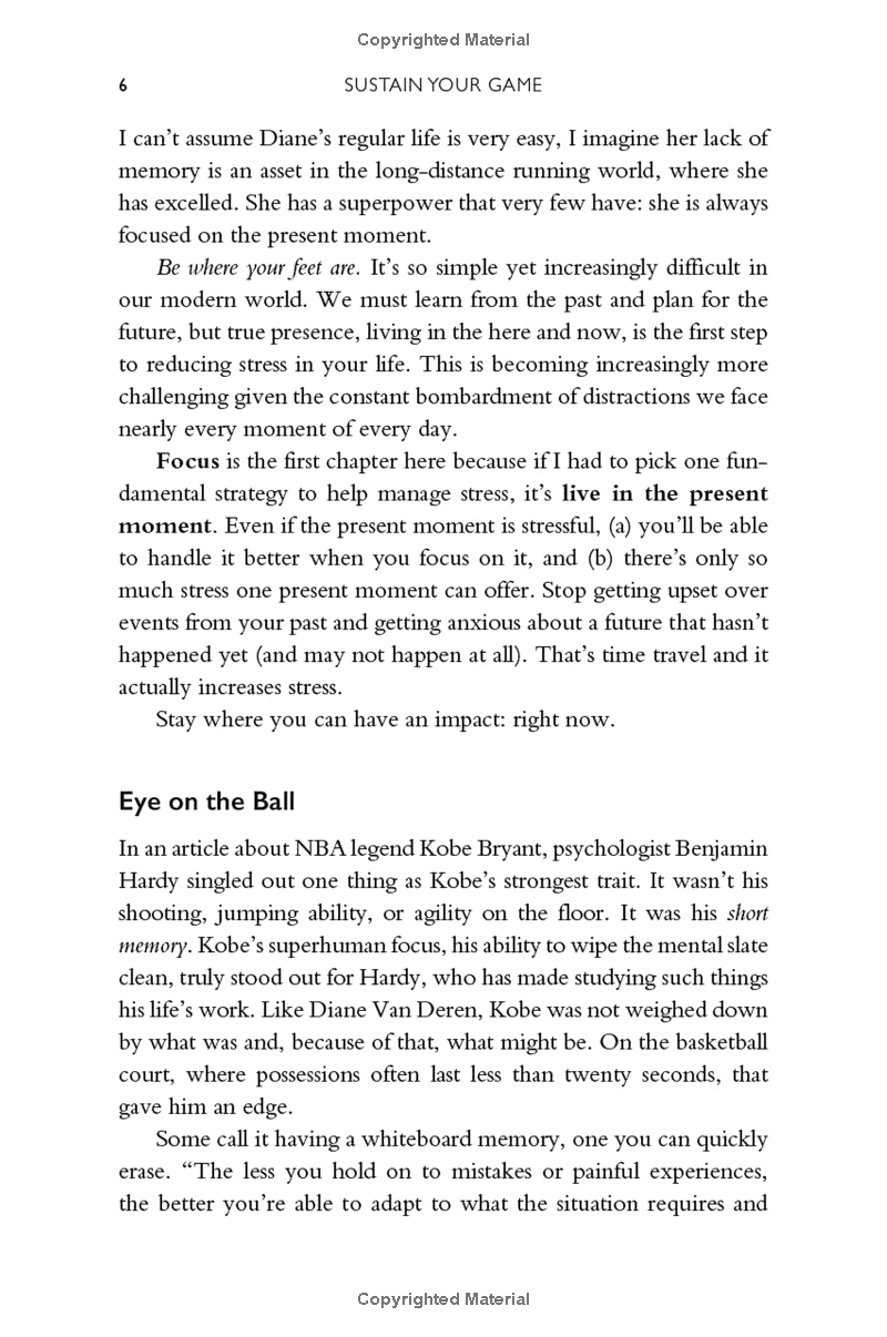 sustain your game: high performance keys to manage stress, avoid stagnation, and beat burnout - Ảnh 10