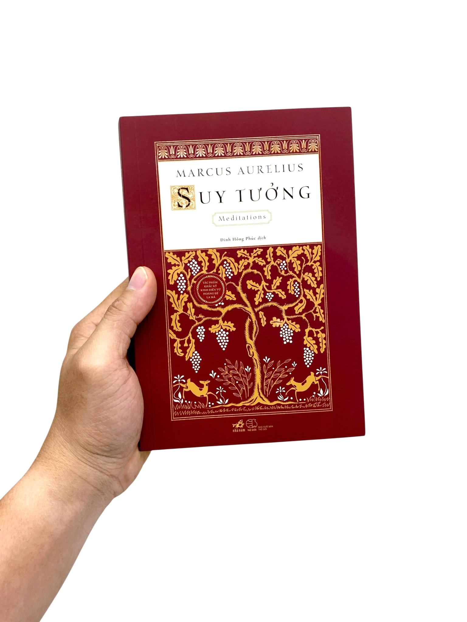 Suy Tưởng - Meditations - Ảnh 7