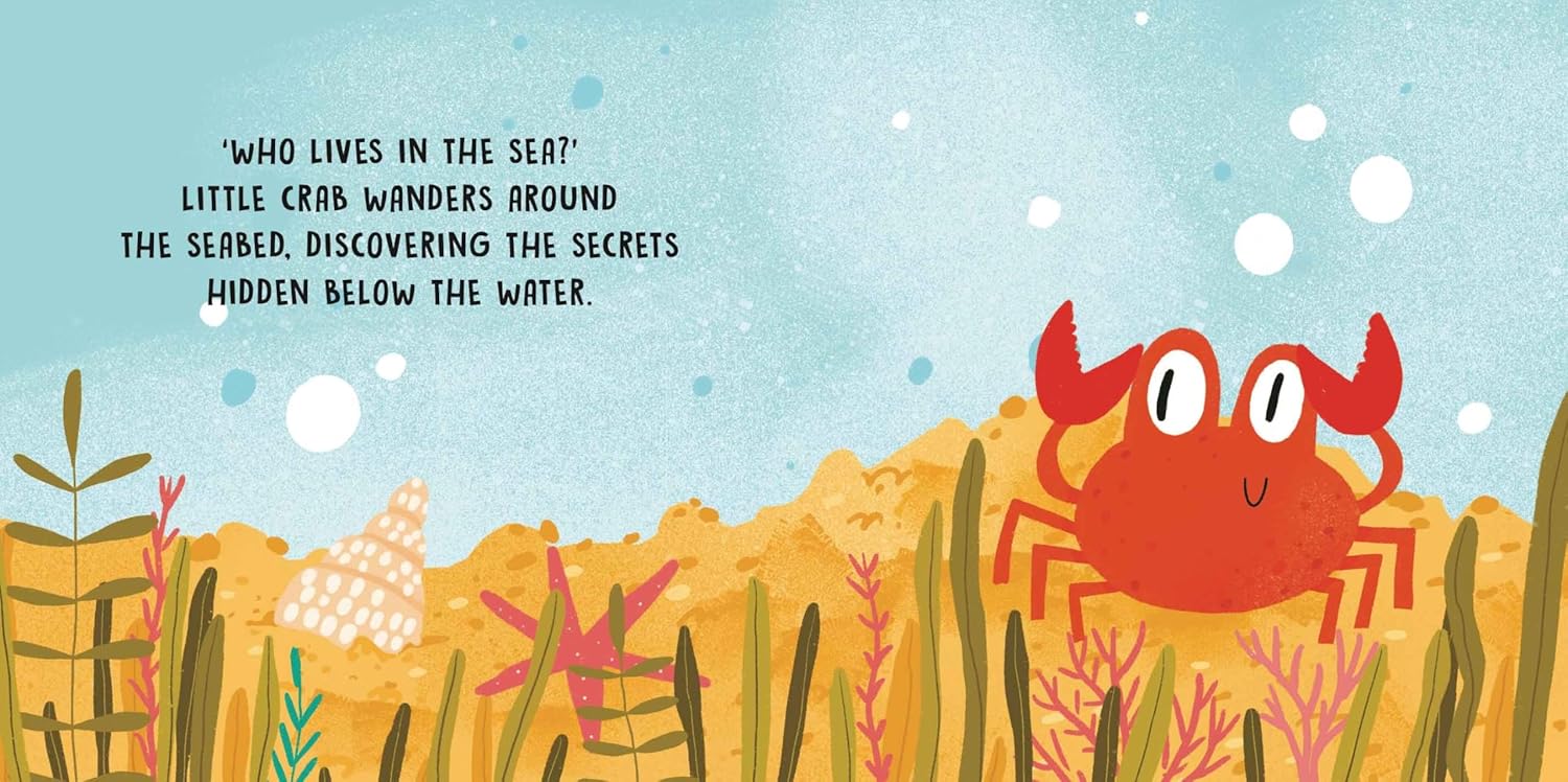 sweet sounds stories - the sea - Ảnh 3