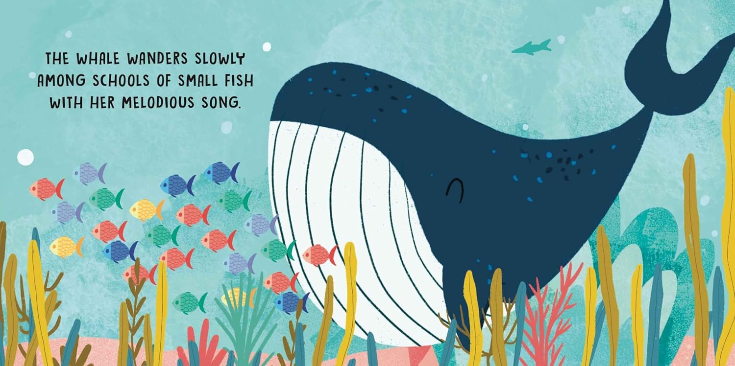 sweet sounds stories - the sea - Ảnh 5