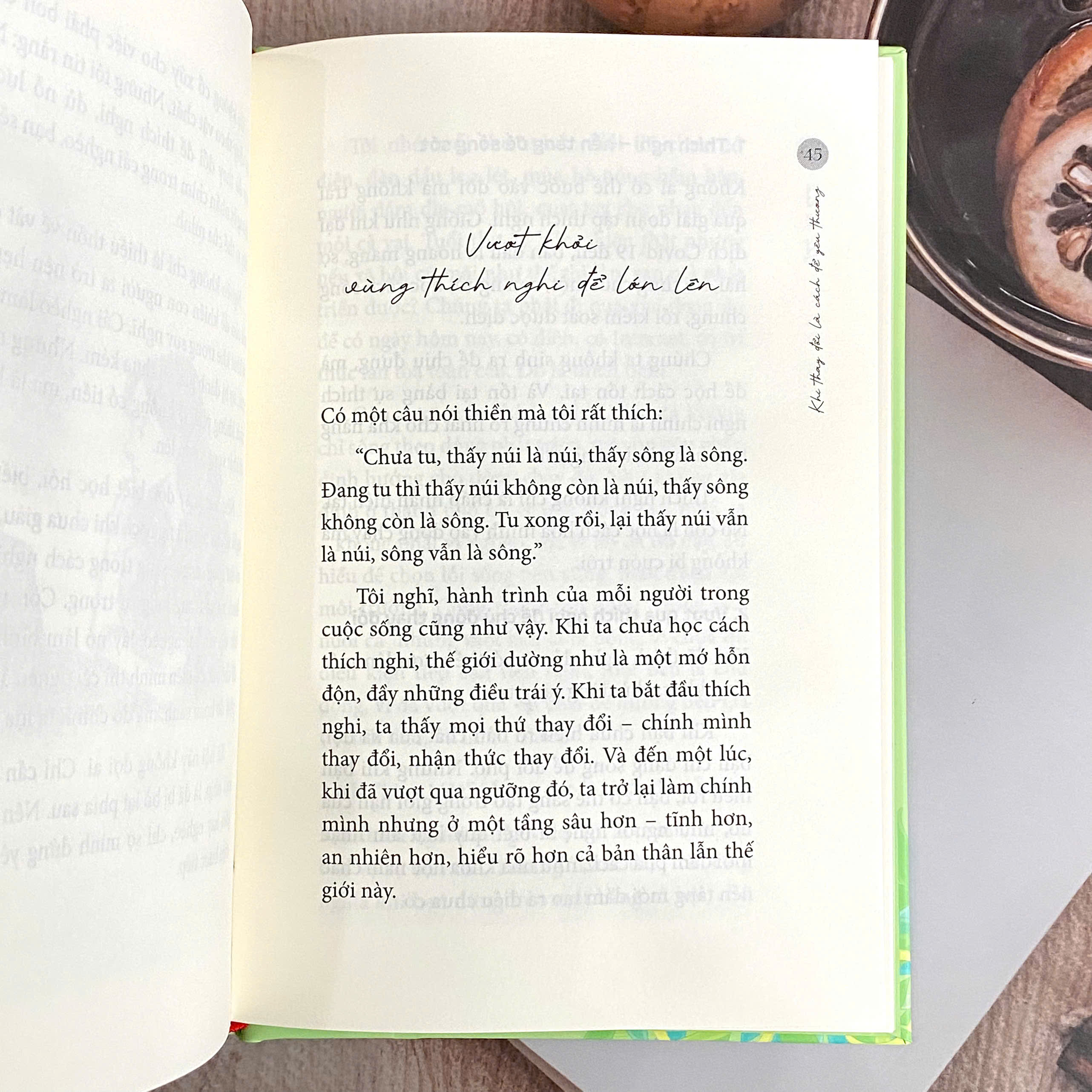 Tắc Kè Hoa - Khi Thay Đổi Là Cách Để Yêu Thương - Bìa Cứng - Ảnh 5