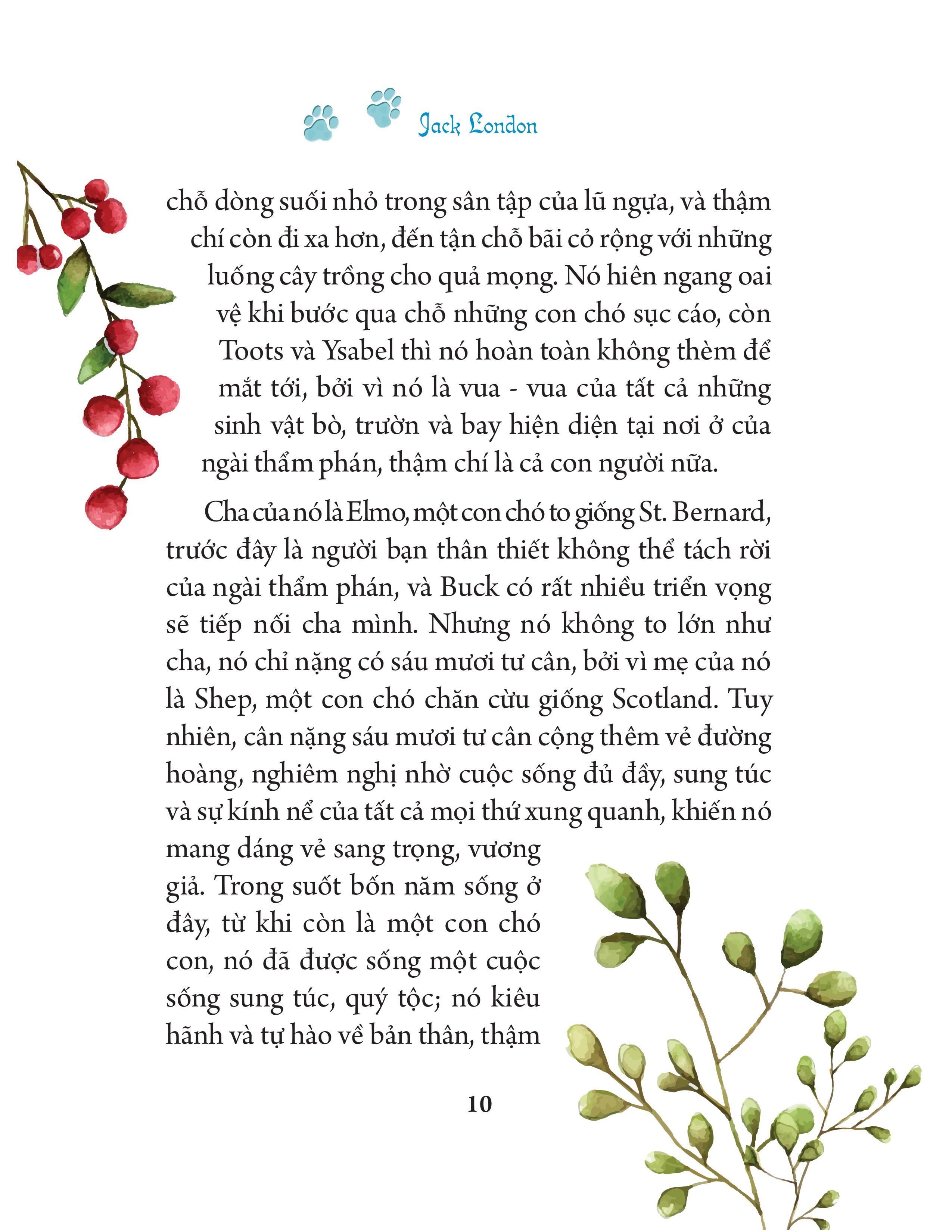 tác phẩm kinh điển minh họa mới - tiếng gọi của hoang dã - Ảnh 11