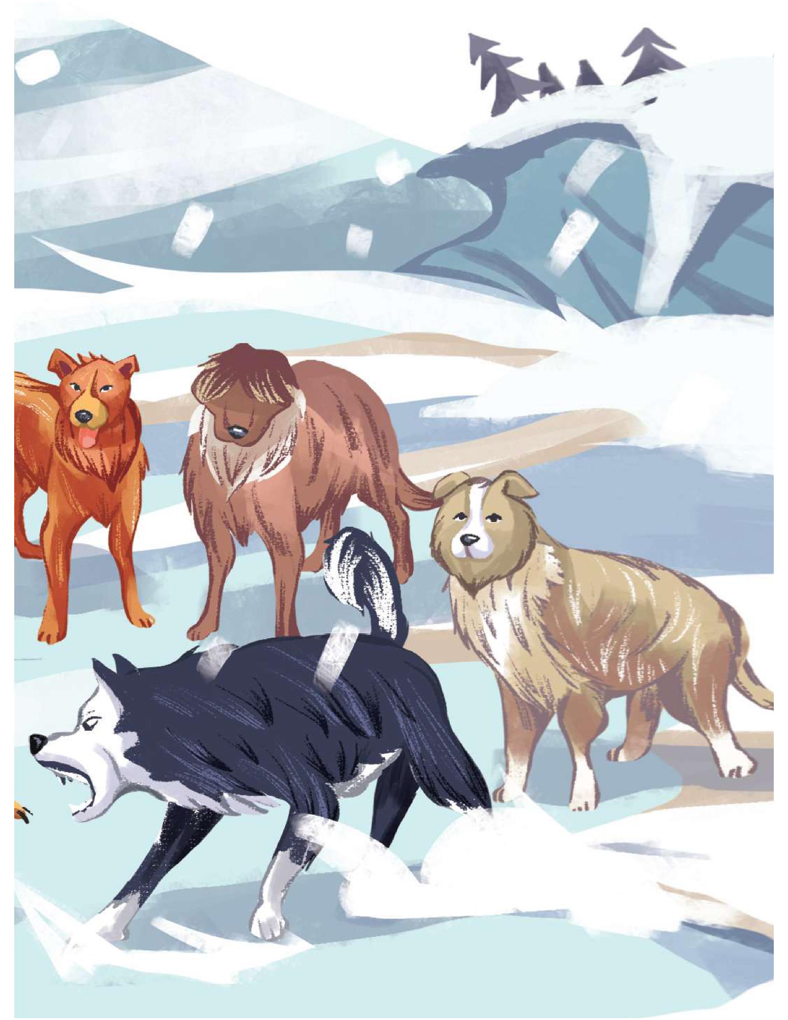 tác phẩm kinh điển minh họa mới - tiếng gọi của hoang dã - Ảnh 4