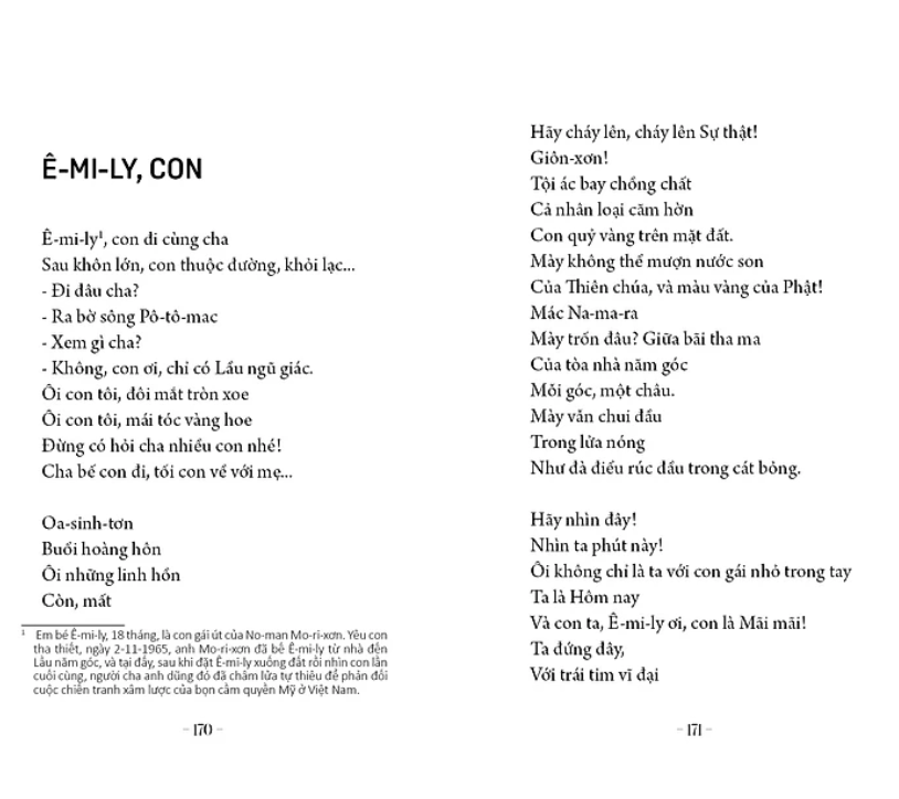 tác phẩm văn học trong nhà trường - thơ tố hữu - Ảnh 4