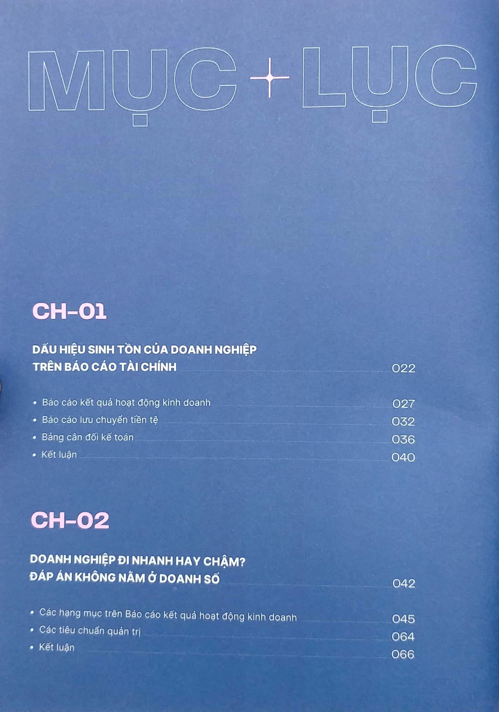 tài chính dành cho người sợ số - thực sự hiểu về tài chính doanh nghiệp trong giai đoạn sinh tồn - Ảnh 3
