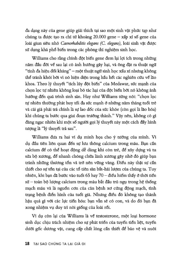 tại sao chúng ta lại già đi? - hiểu đúng về lão hóa - Ảnh 26