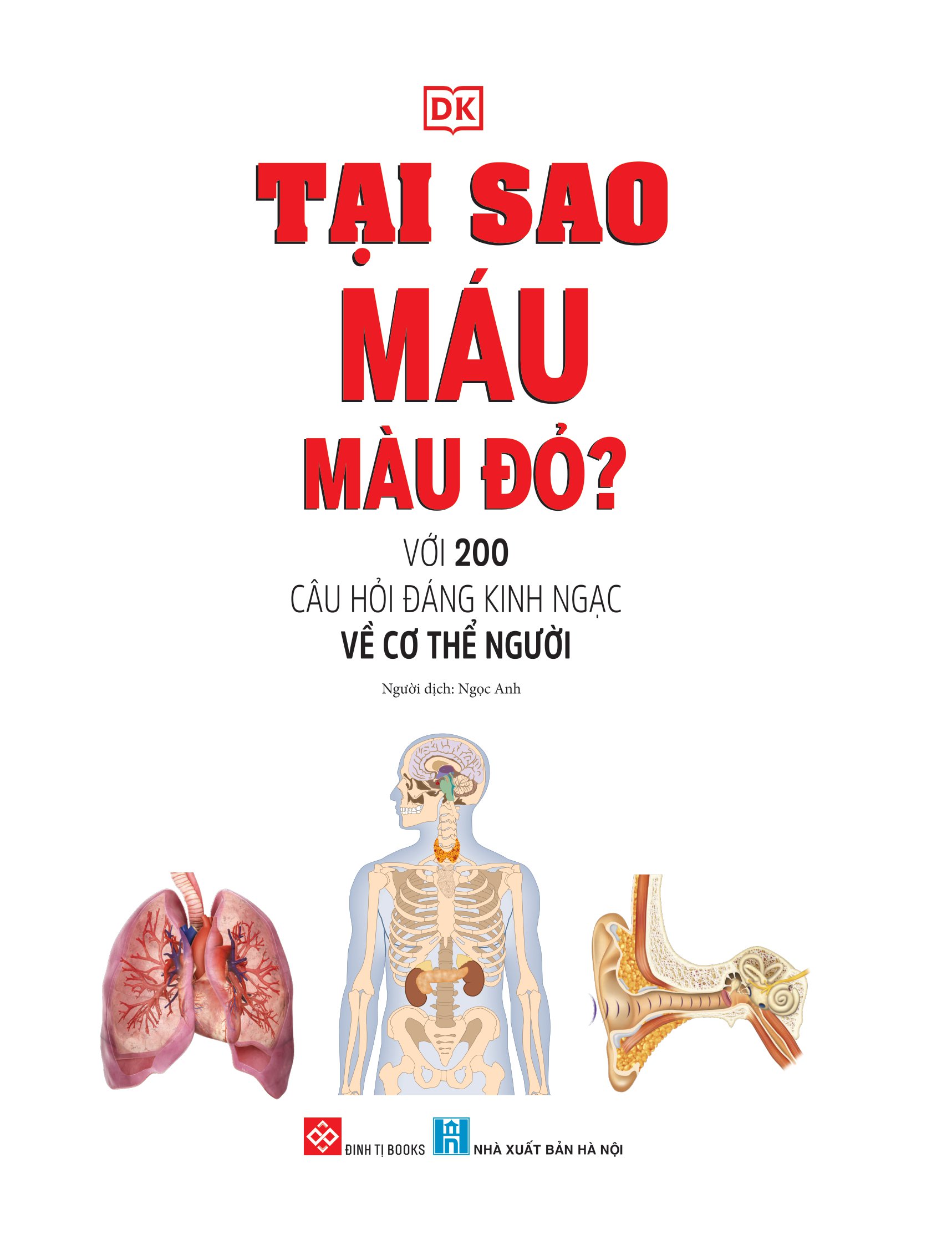 tại sao máu màu đỏ? - với 200 câu hỏi đáng kinh ngạc về cơ thể người - Ảnh 4