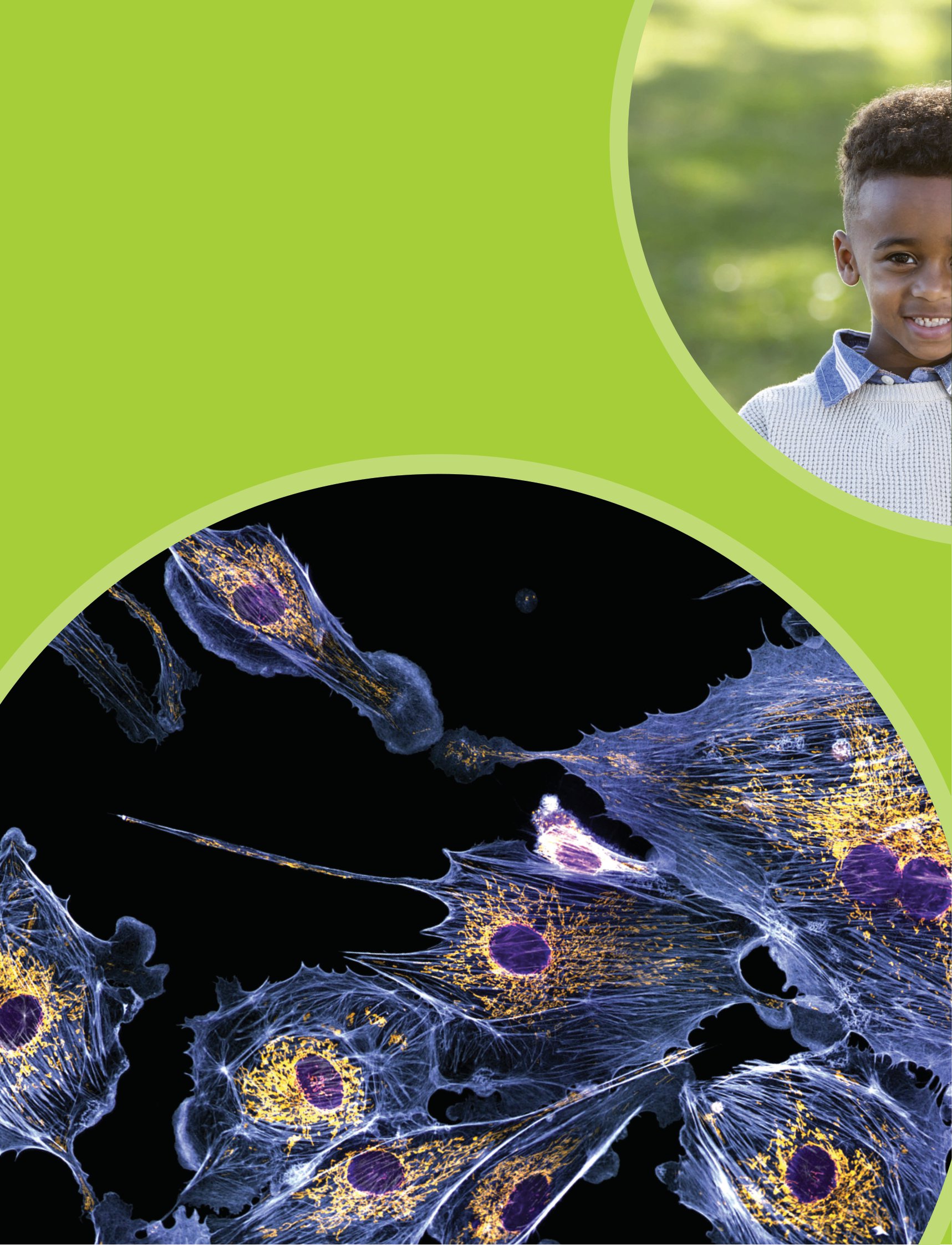 tại sao máu màu đỏ? - với 200 câu hỏi đáng kinh ngạc về cơ thể người - Ảnh 7