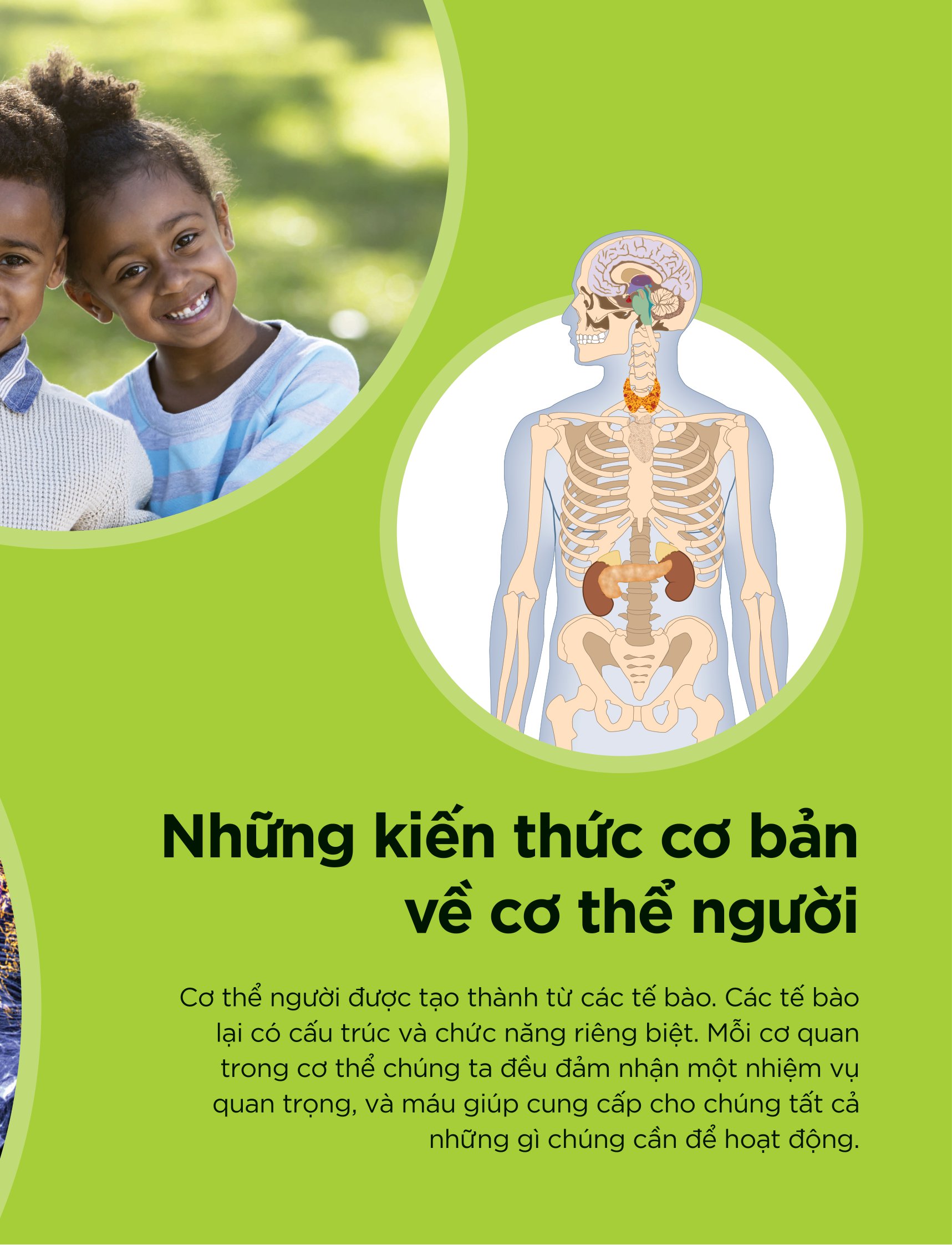 tại sao máu màu đỏ? - với 200 câu hỏi đáng kinh ngạc về cơ thể người - Ảnh 8