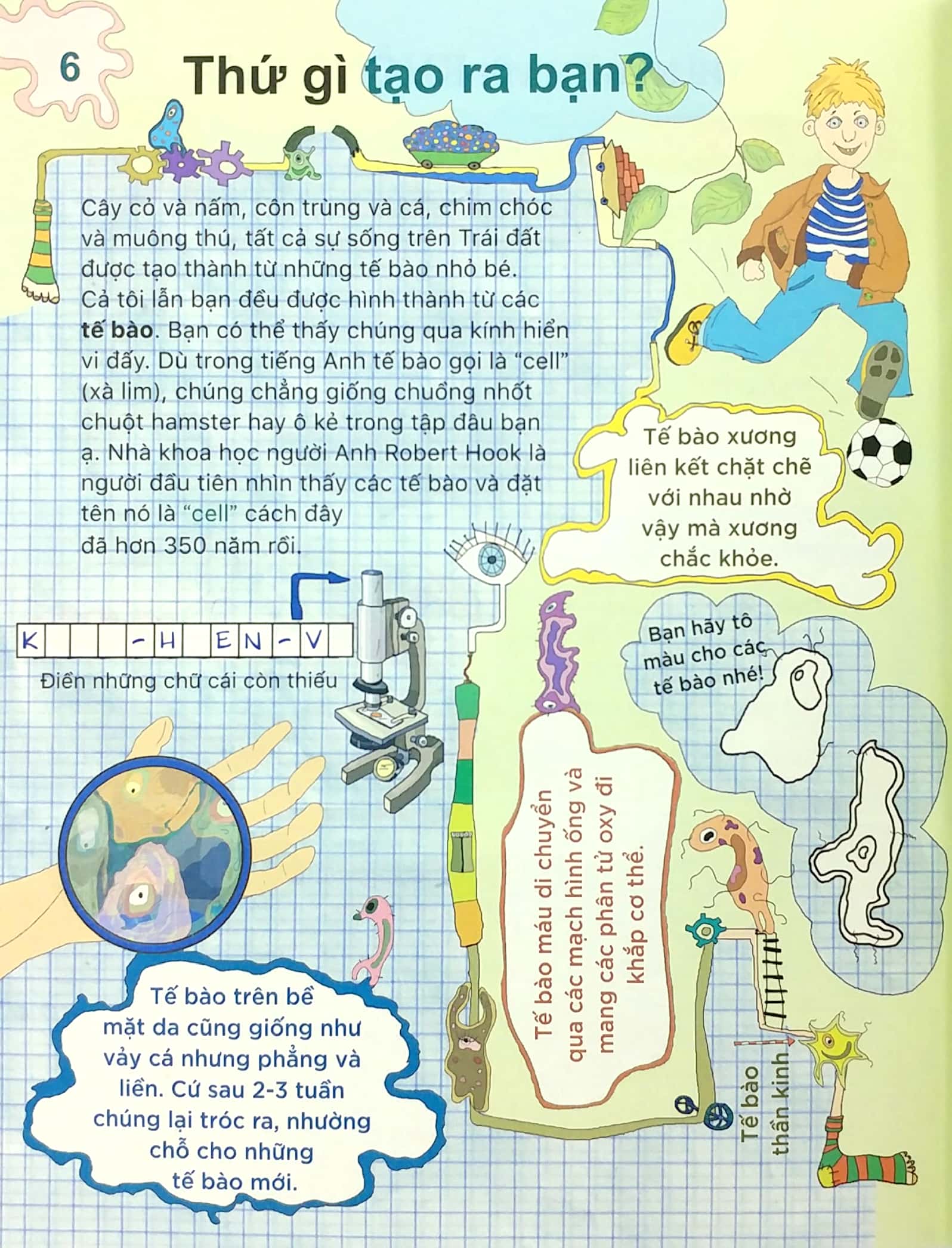 tại sao? sao tim đập và dạ dày réo? - 40 thí nghiệm, thực hành trò chơi, câu đố, sự kiện kỳ thú - Ảnh 7