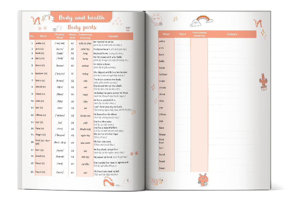 Take Note - 3000 Từ Vựng Tiếng Anh Thông Dụng Nhất - Ảnh 4