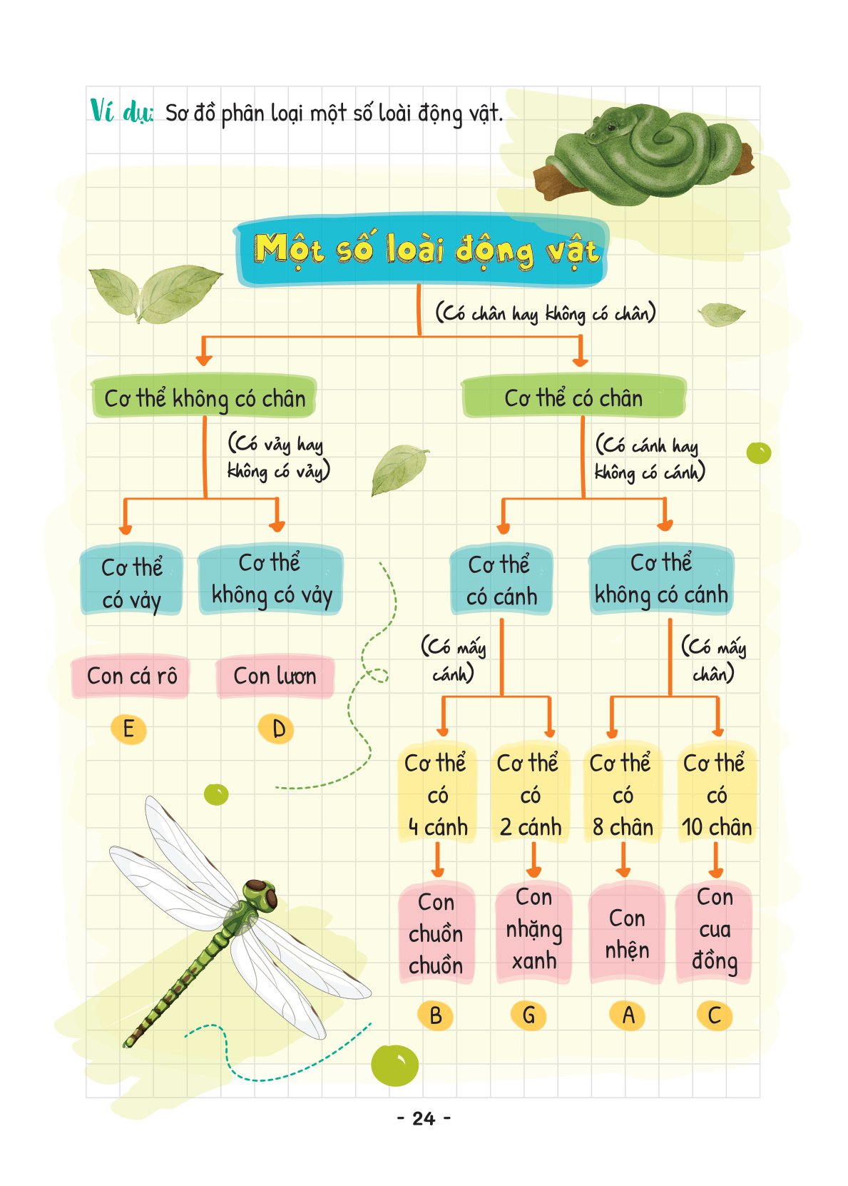 takenote khoa học tự nhiên lý-hóa-sinh 6 - Ảnh 27