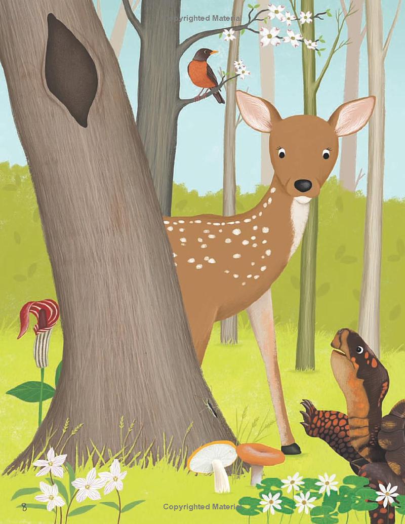 tales from the forest - Ảnh 10