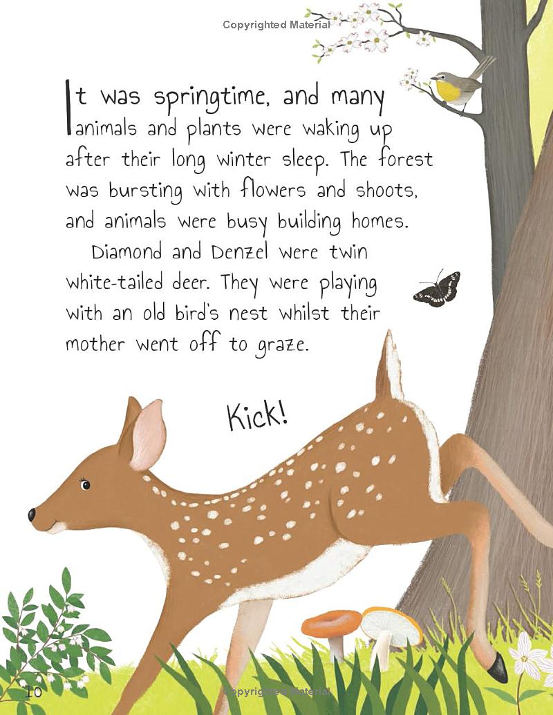 tales from the forest - Ảnh 12