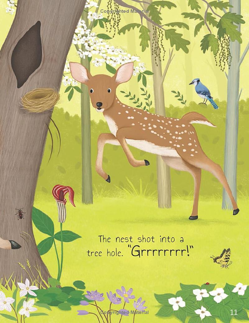 tales from the forest - Ảnh 13