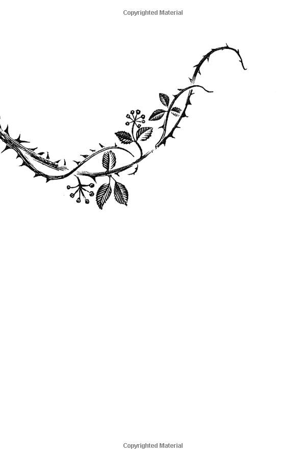 tales of the peculiar - Ảnh 3