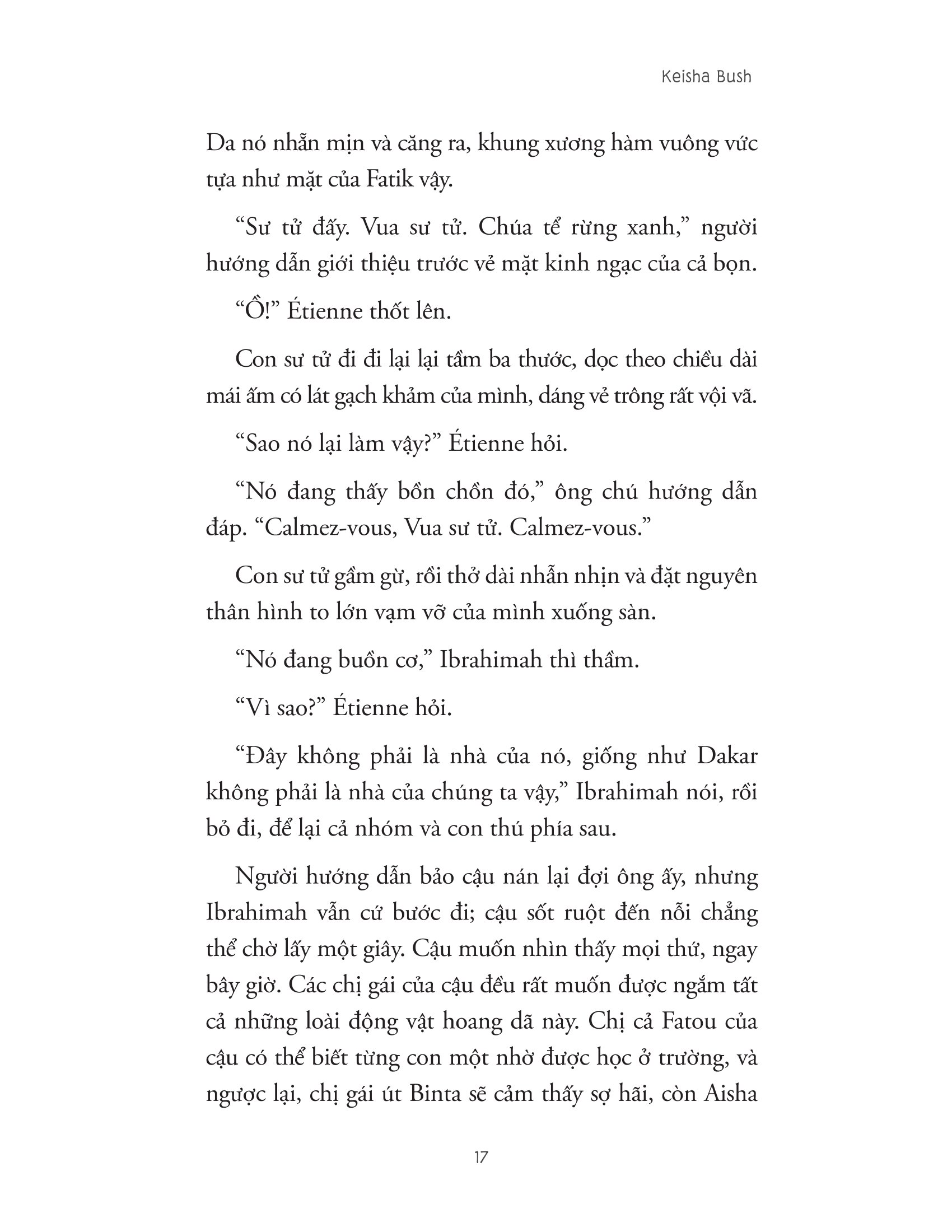 talibé - những đứa trẻ đường phố - Ảnh 12