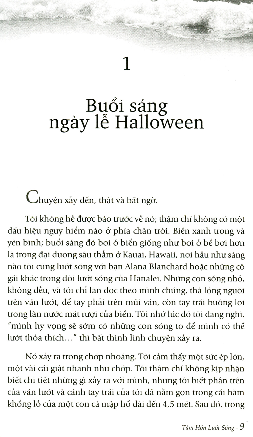 tâm hồn lướt sóng - Ảnh 4