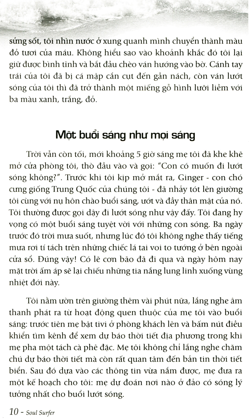 tâm hồn lướt sóng - Ảnh 5