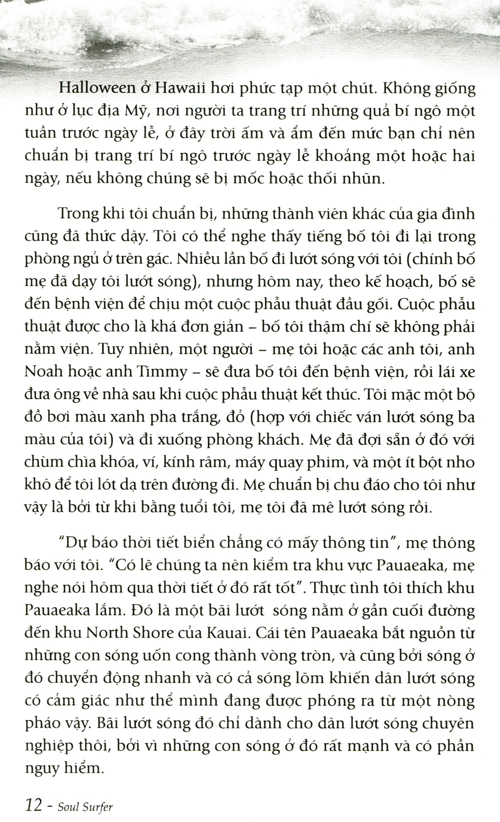 tâm hồn lướt sóng - Ảnh 7