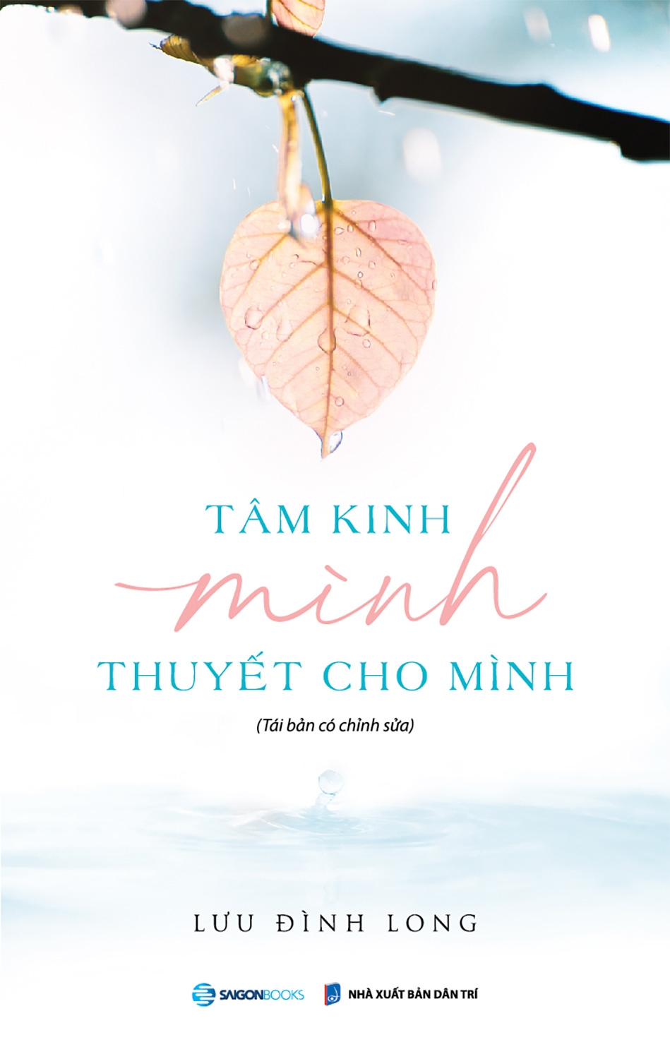 tâm kinh mình thuyết cho mình - Ảnh 2