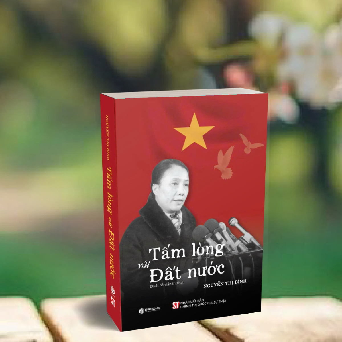 Tấm Lòng Với Đất Nước - Ảnh 4