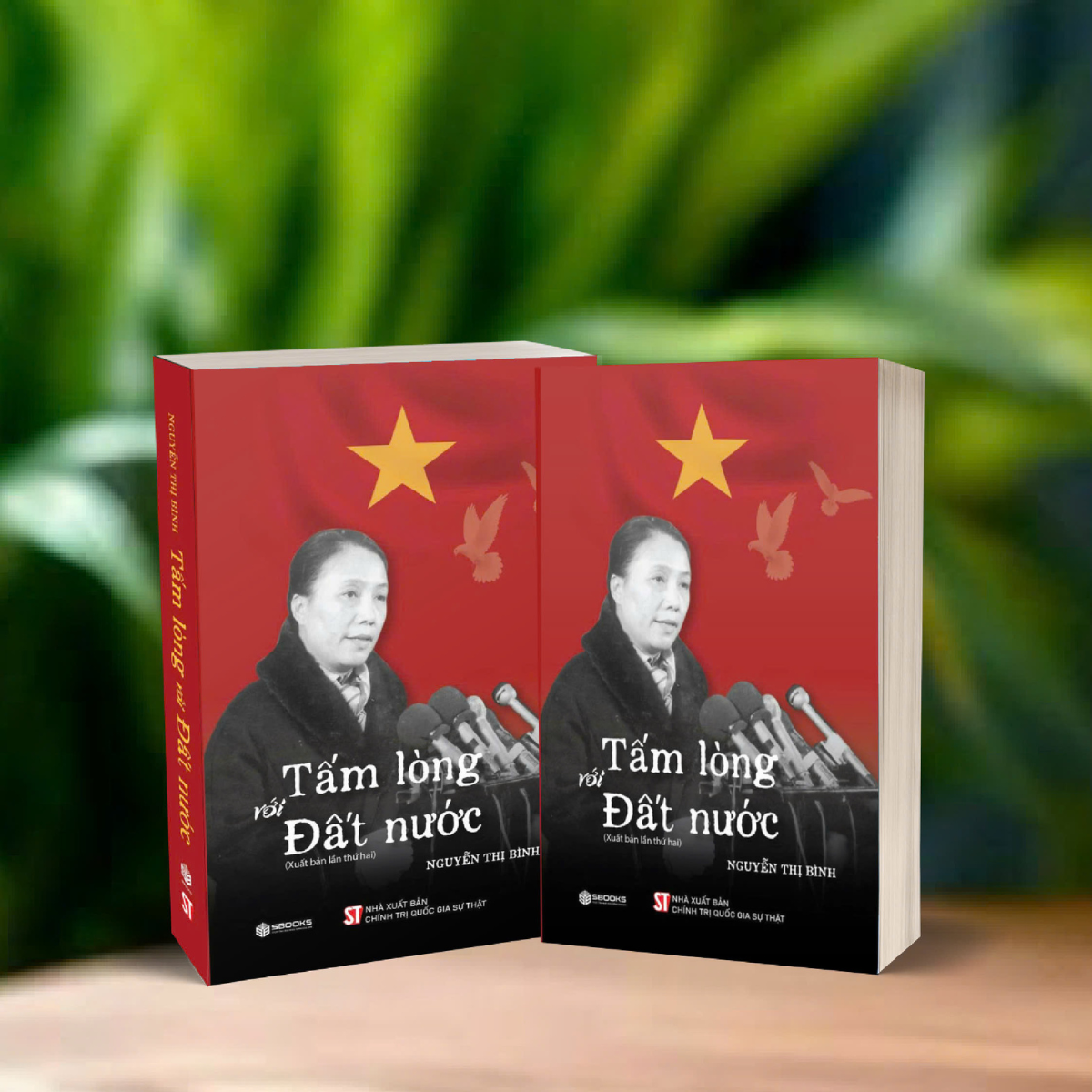 Tấm Lòng Với Đất Nước - Ảnh 5