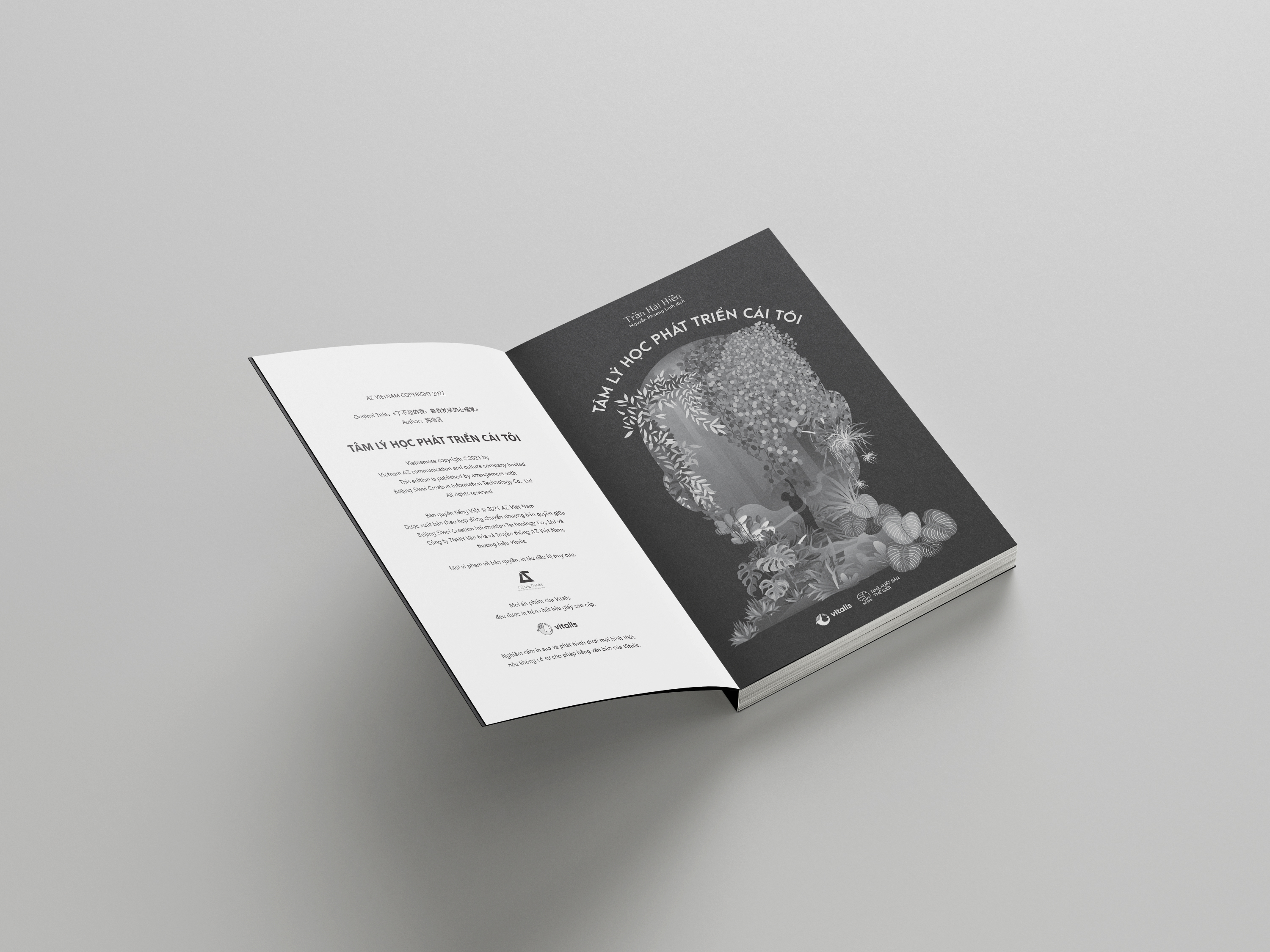 tâm lý học phát triển cái tôi - Ảnh 10