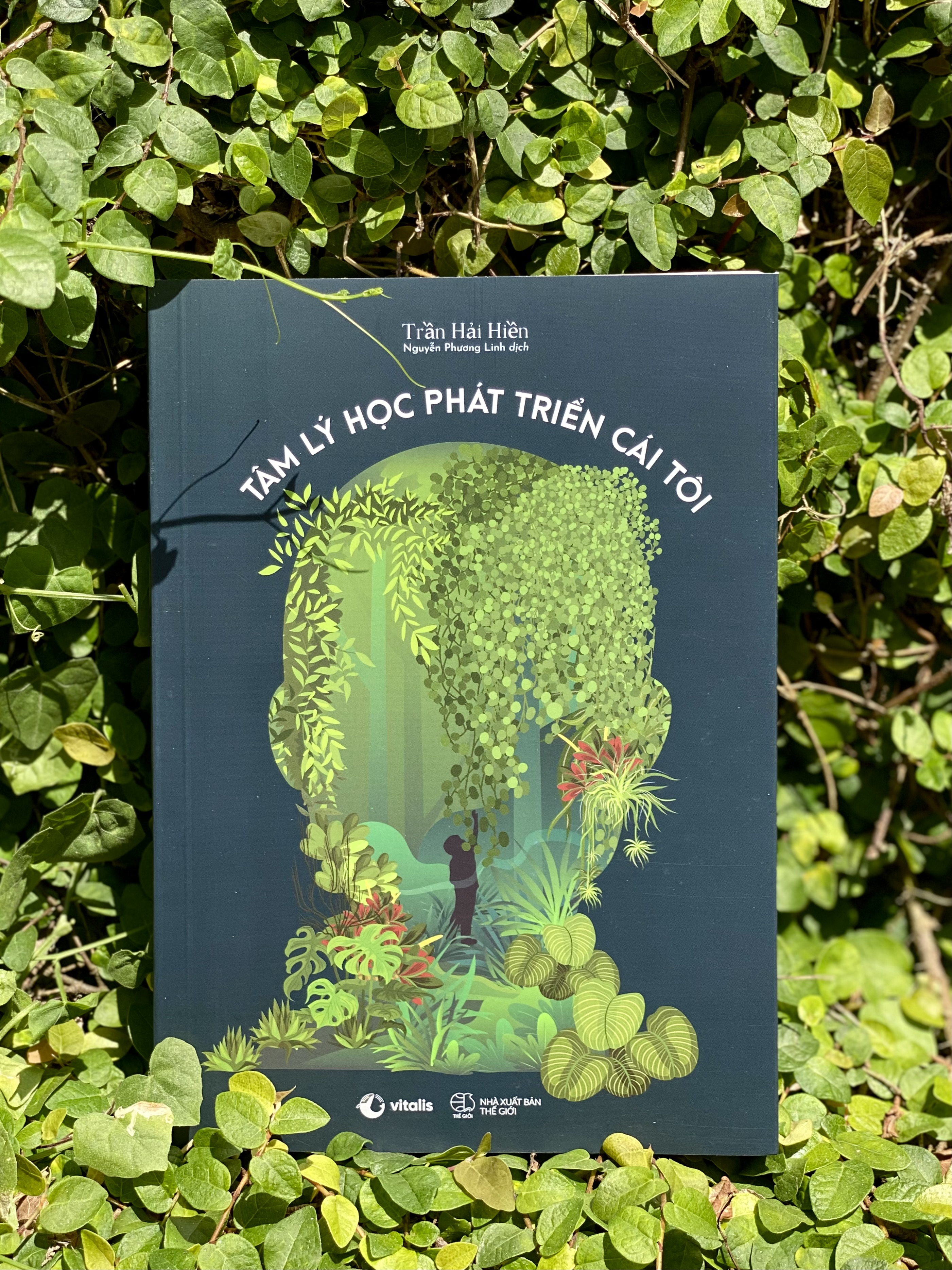 tâm lý học phát triển cái tôi - Ảnh 6